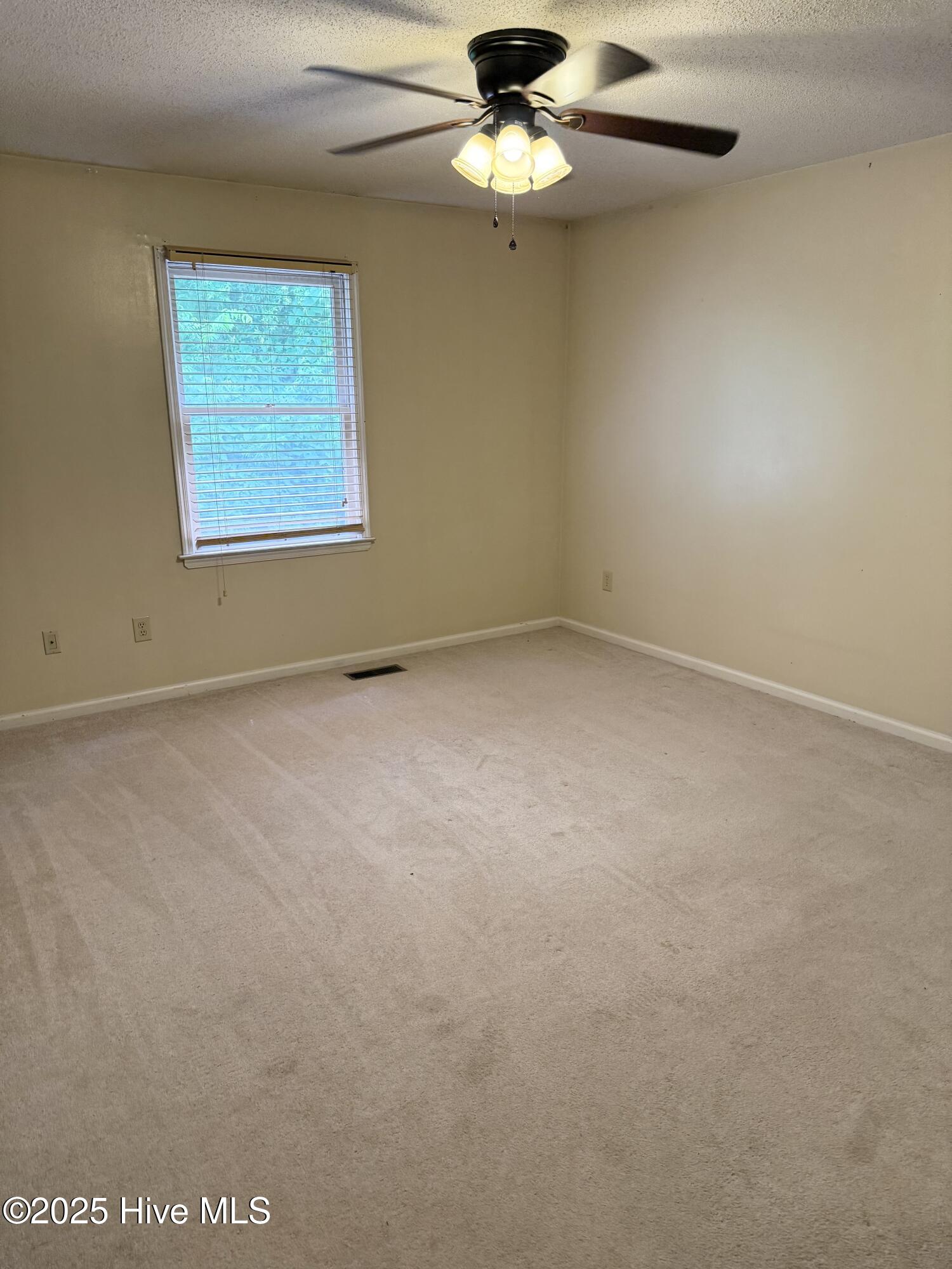 2907 Cedar Creek Road E Property Photo 11