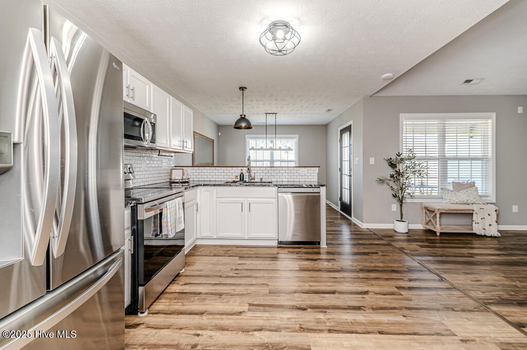 224 Roanoke Drive Property Photo 19