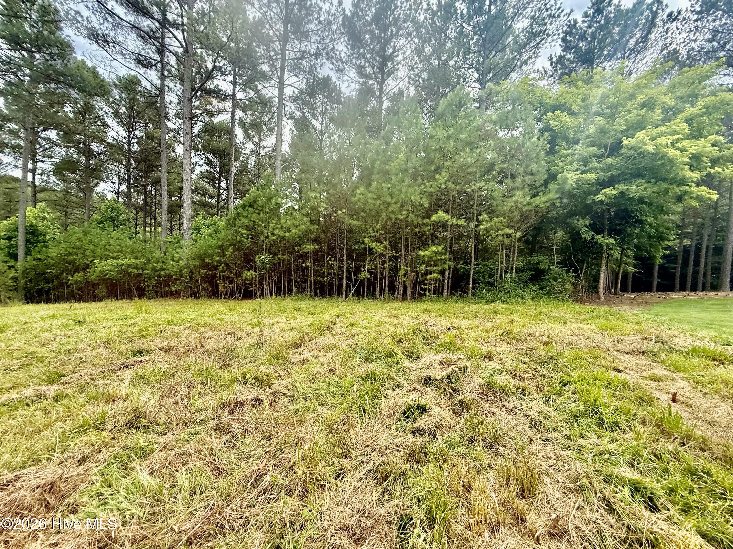 115 154 Stables Loop Property Photo 14