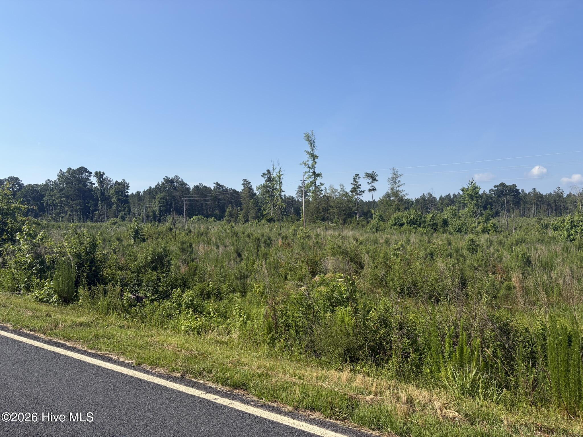Tbd Everett Chappell Road Property Photo 2