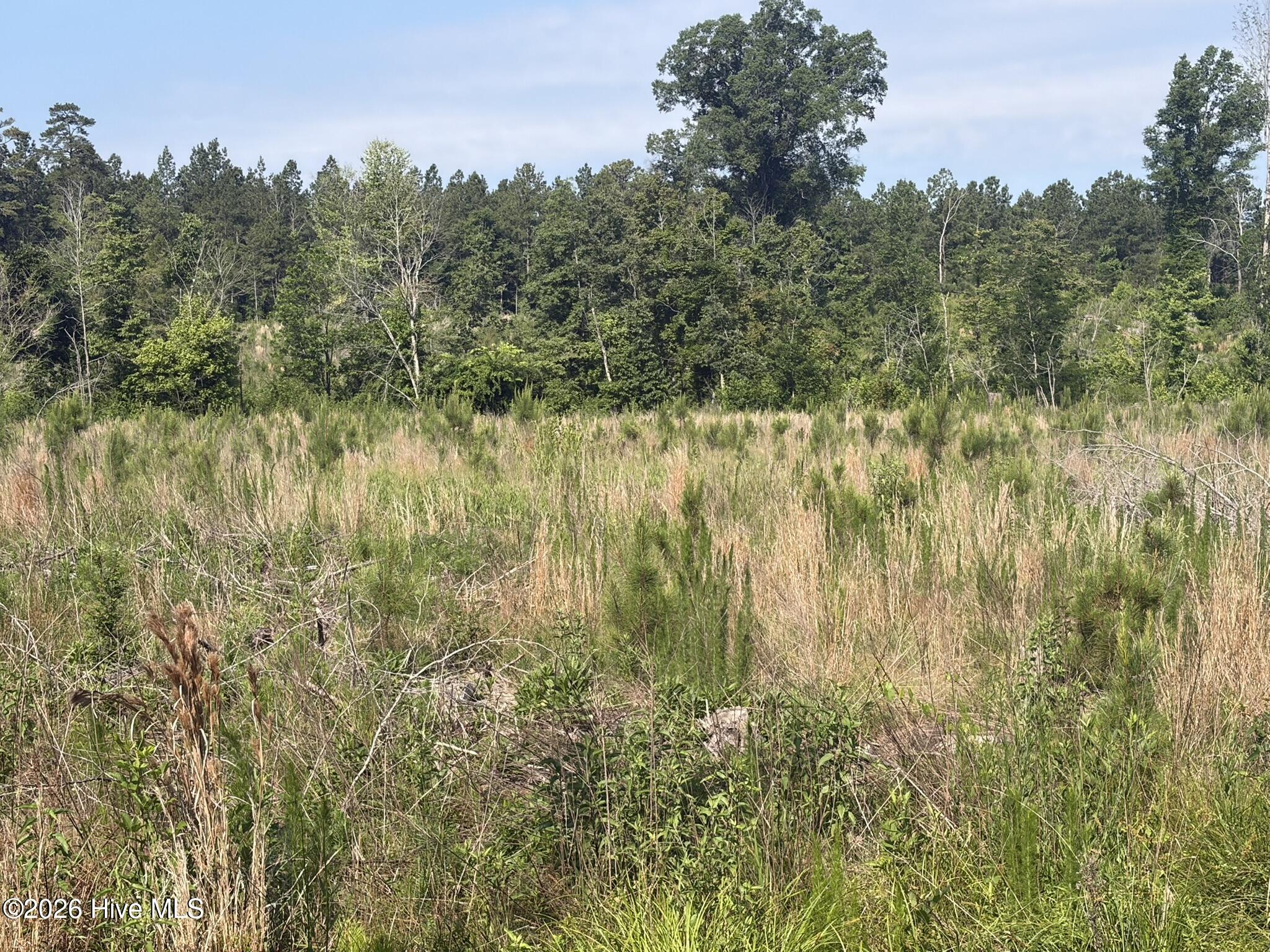 Tbd Everett Chappell Road Property Photo 7