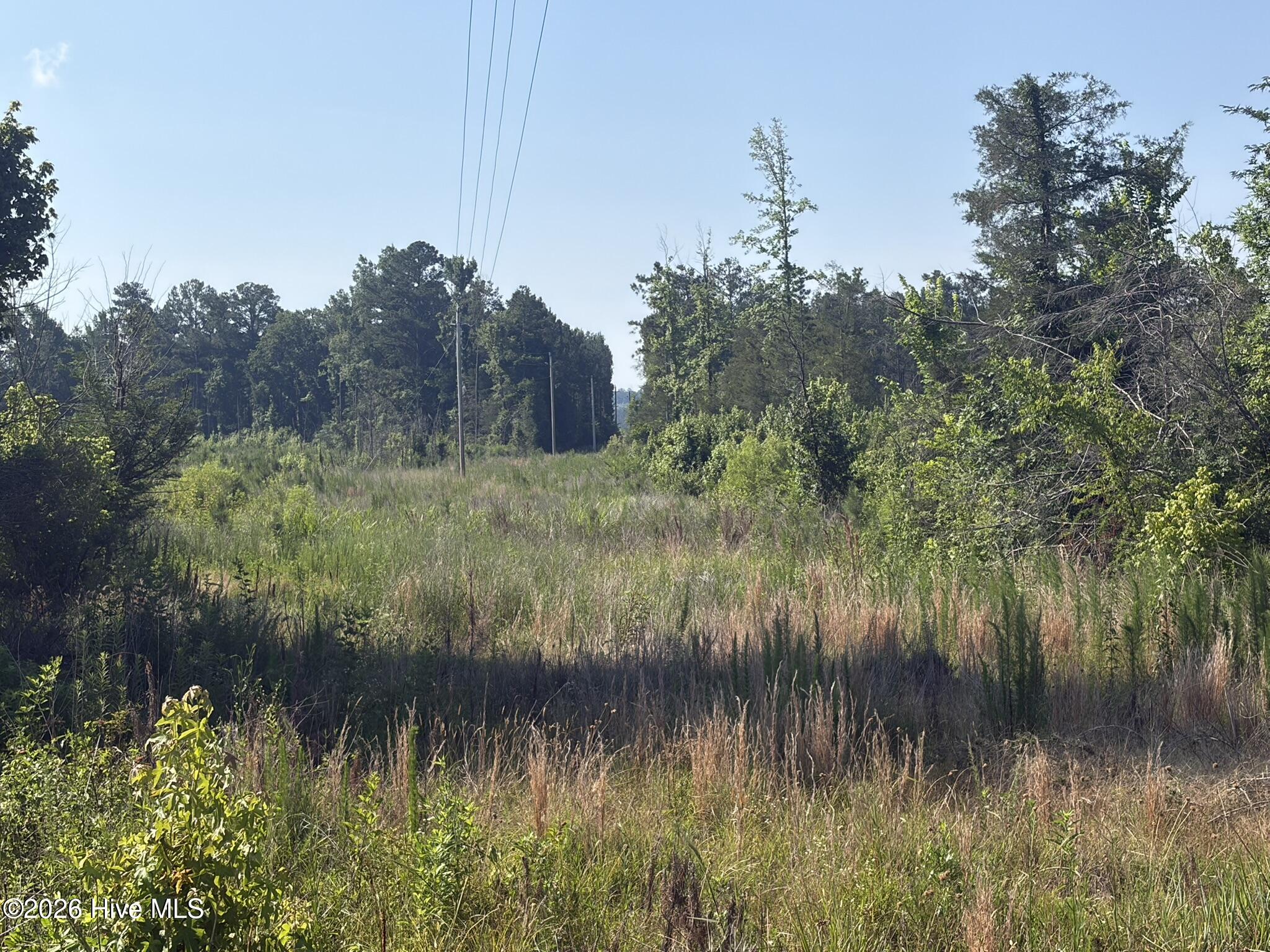 Tbd Everett Chappell Road Property Photo 8