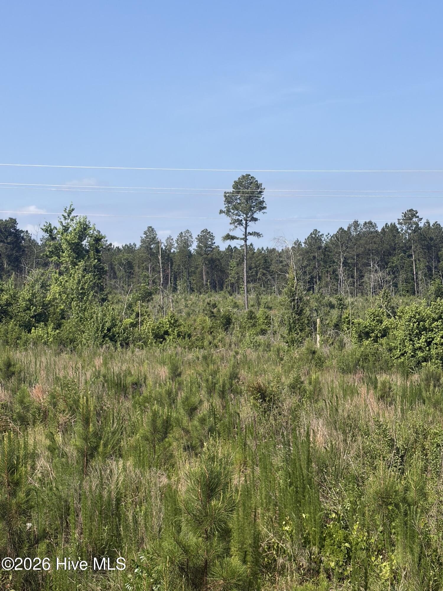 Tbd Everett Chappell Road Property Photo 9