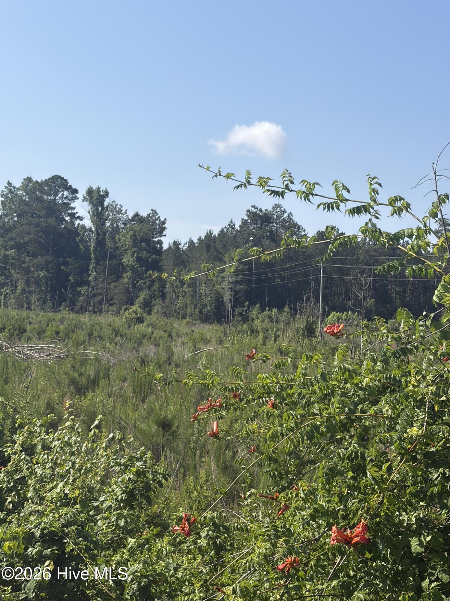 Tbd Everett Chappell Road Property Photo 10