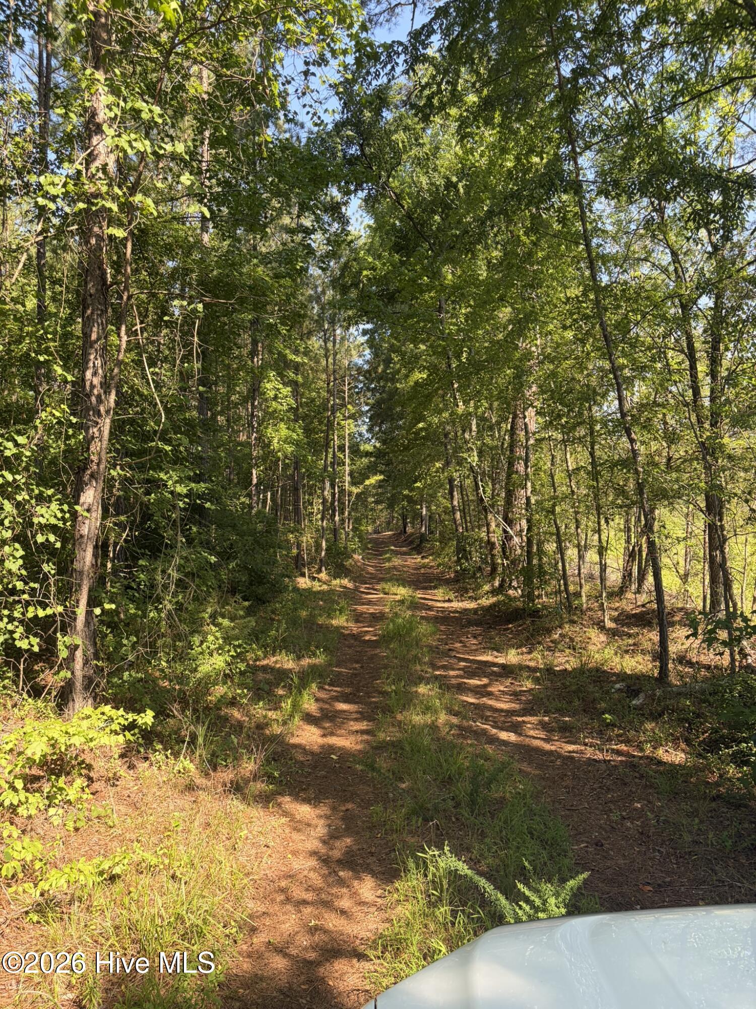 Tbd Everett Chappell Road Property Photo 11