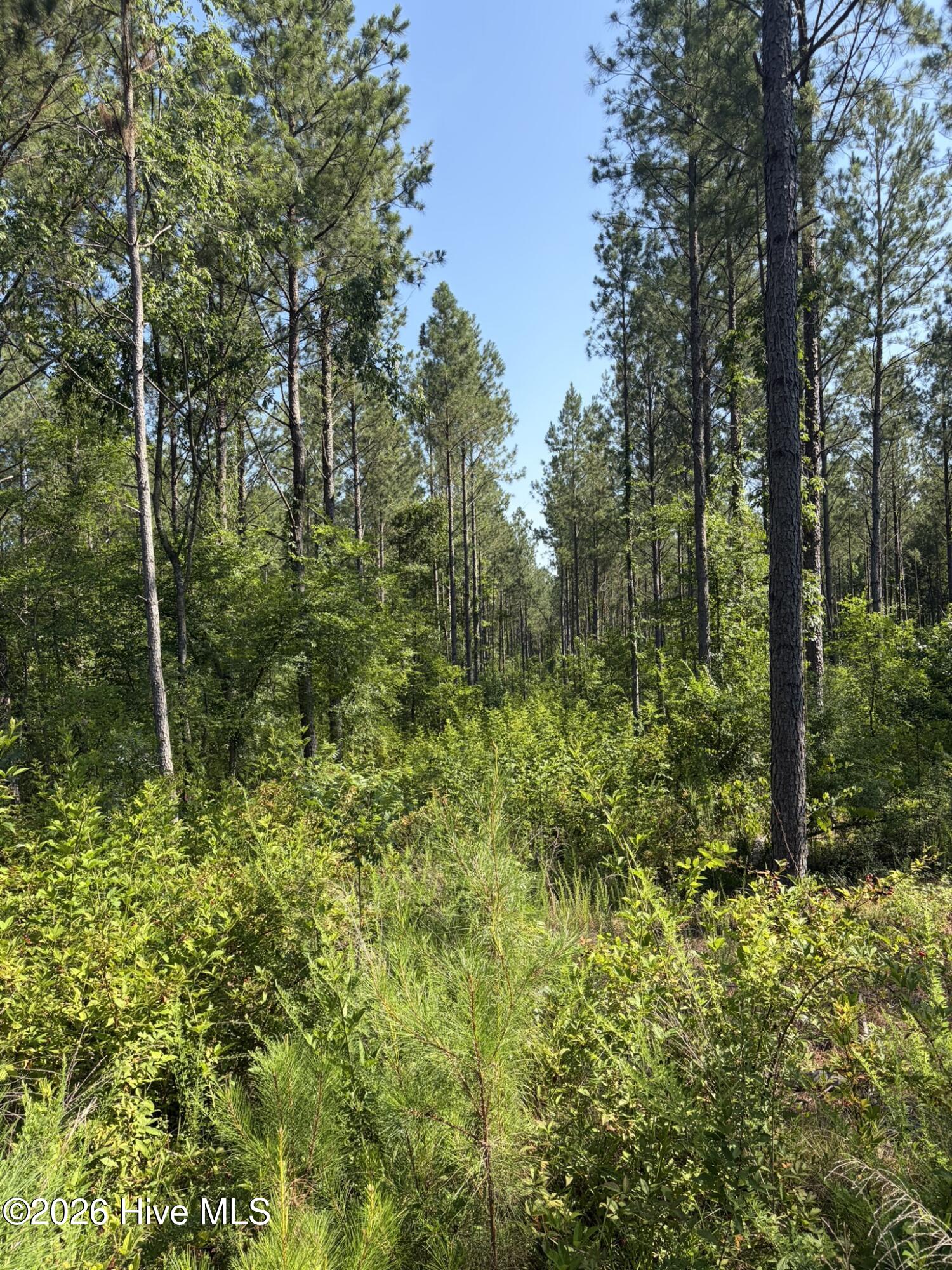 Tbd Everett Chappell Road Property Photo 14