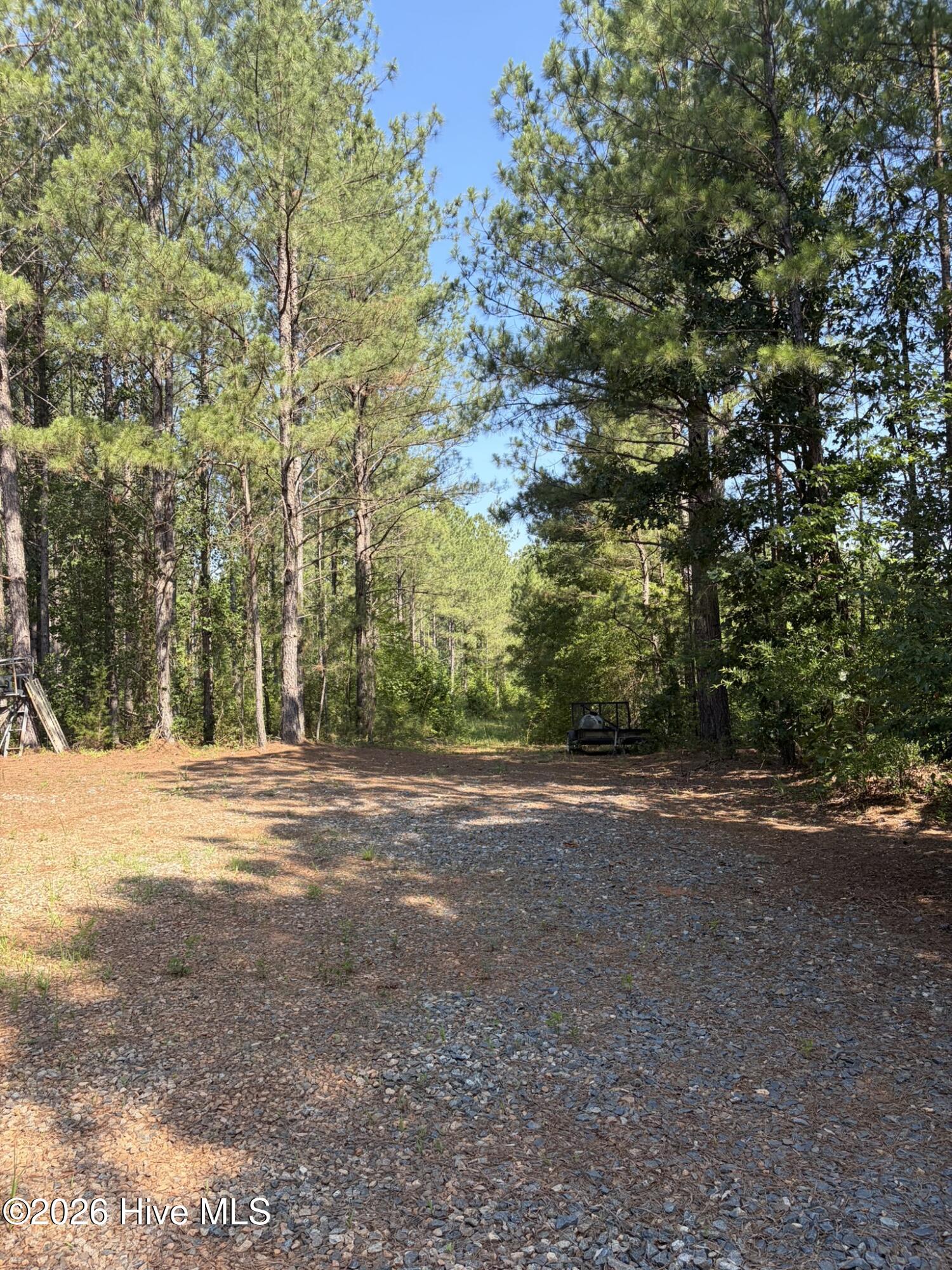 Tbd Everett Chappell Road Property Photo 15