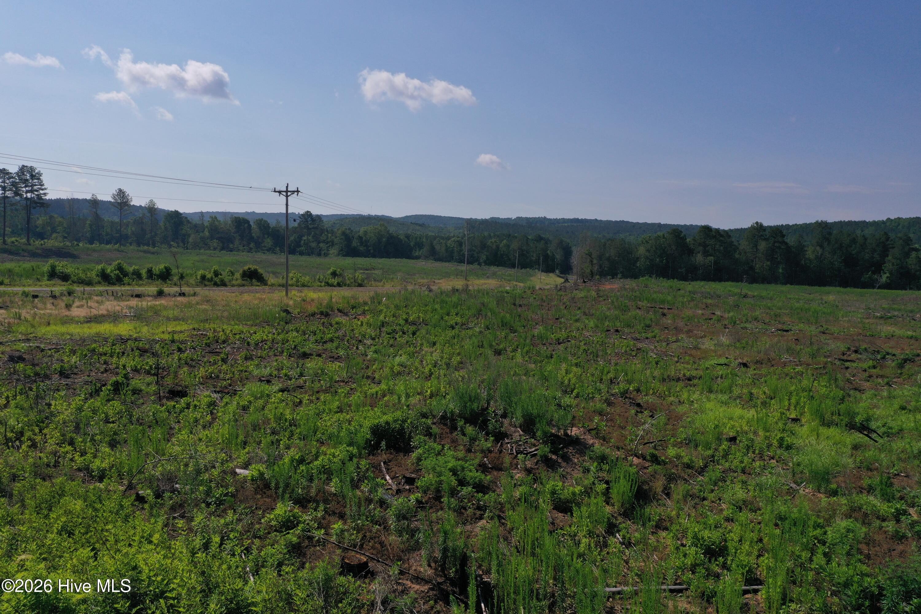 Tbd Everett Chappell Road Property Photo 21