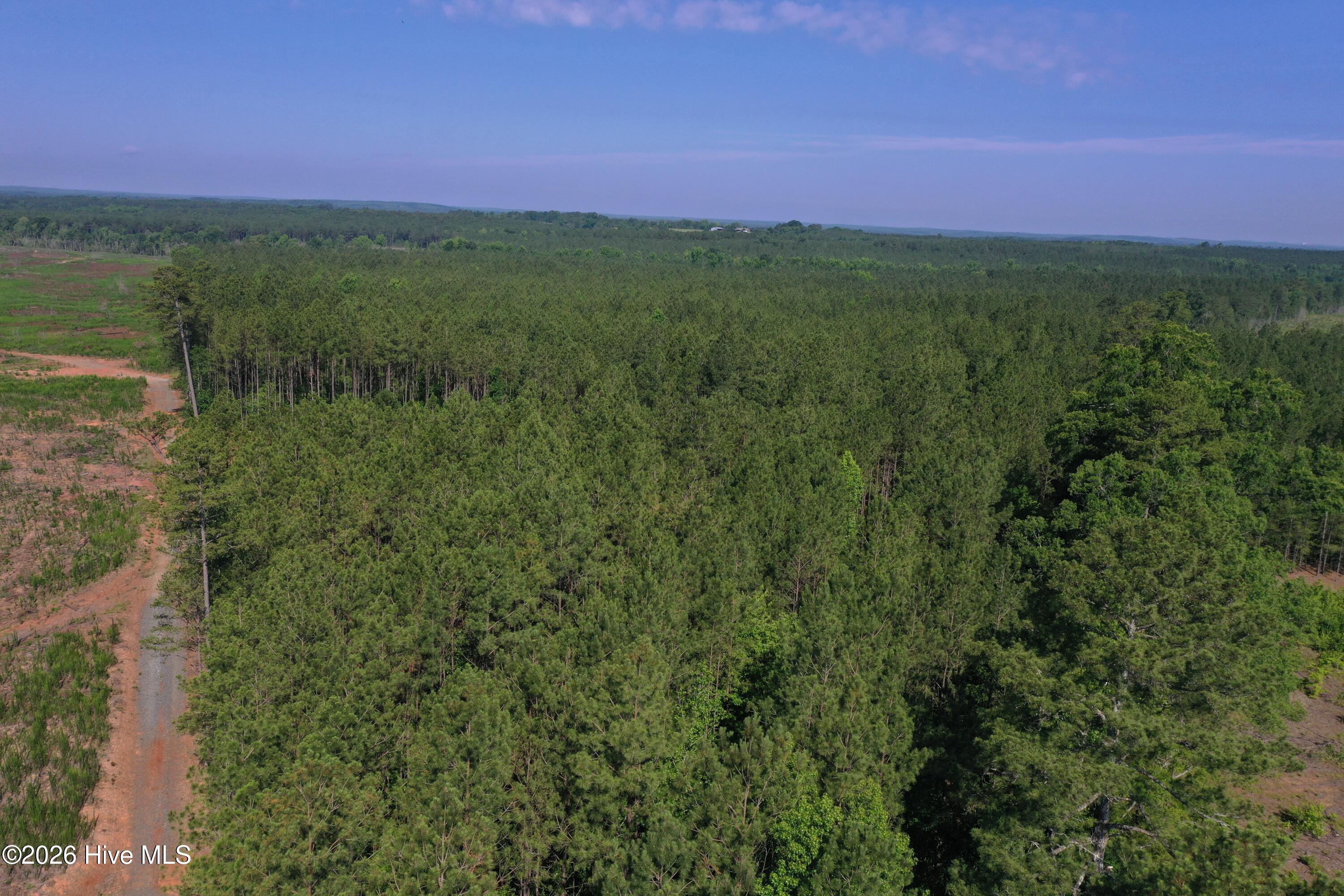 Tbd Everett Chappell Road Property Photo 22