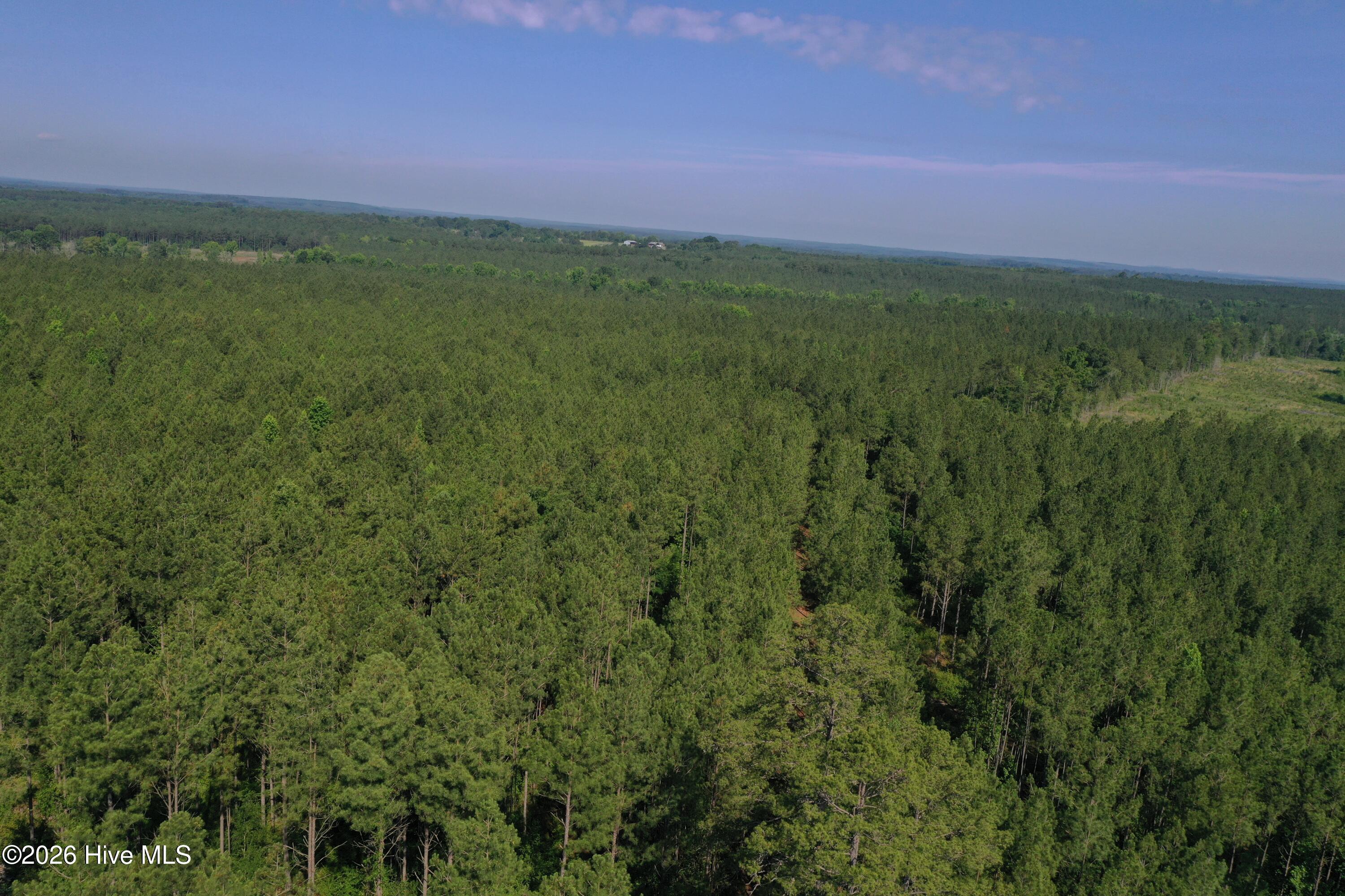 Tbd Everett Chappell Road Property Photo 23