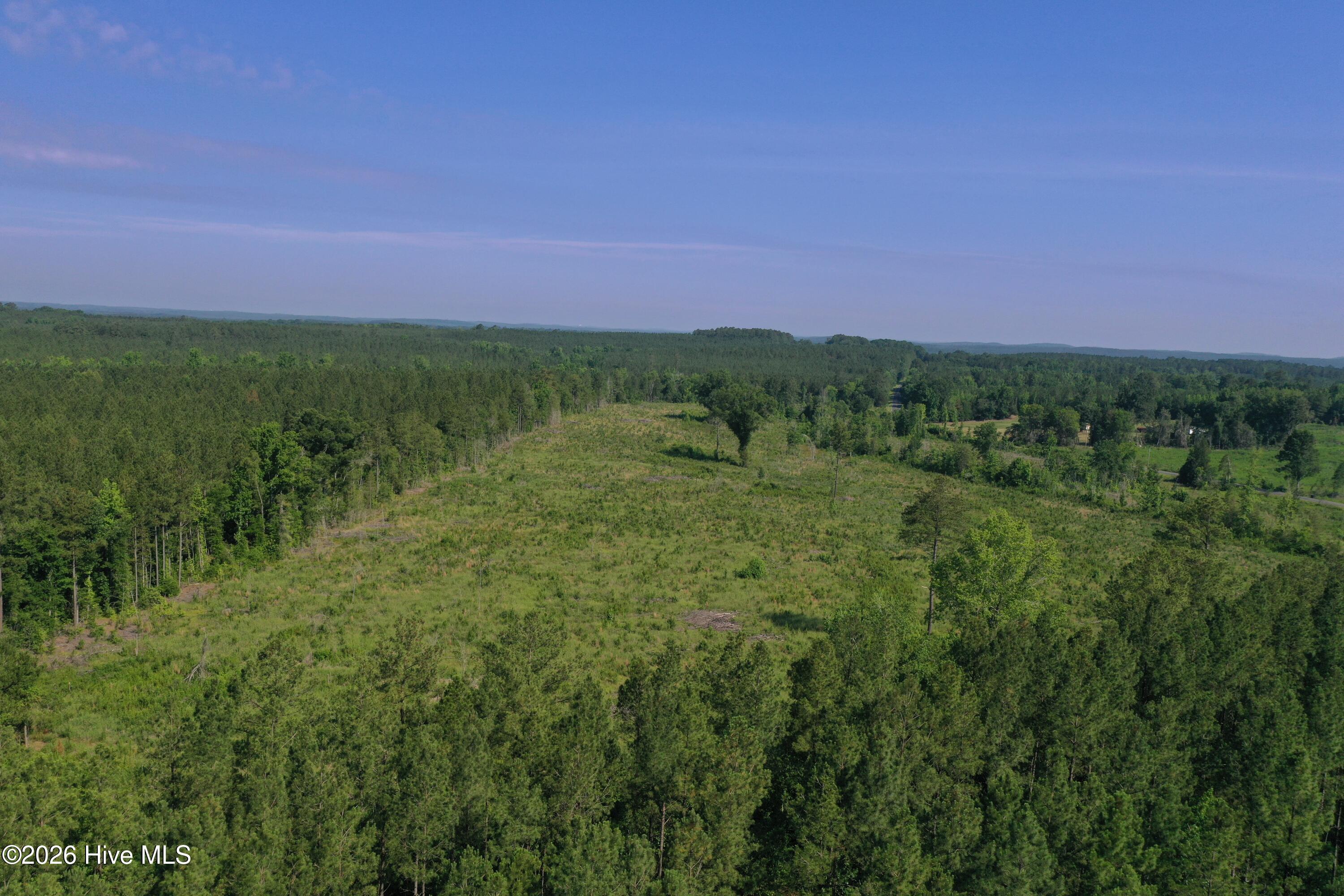 Tbd Everett Chappell Road Property Photo 24