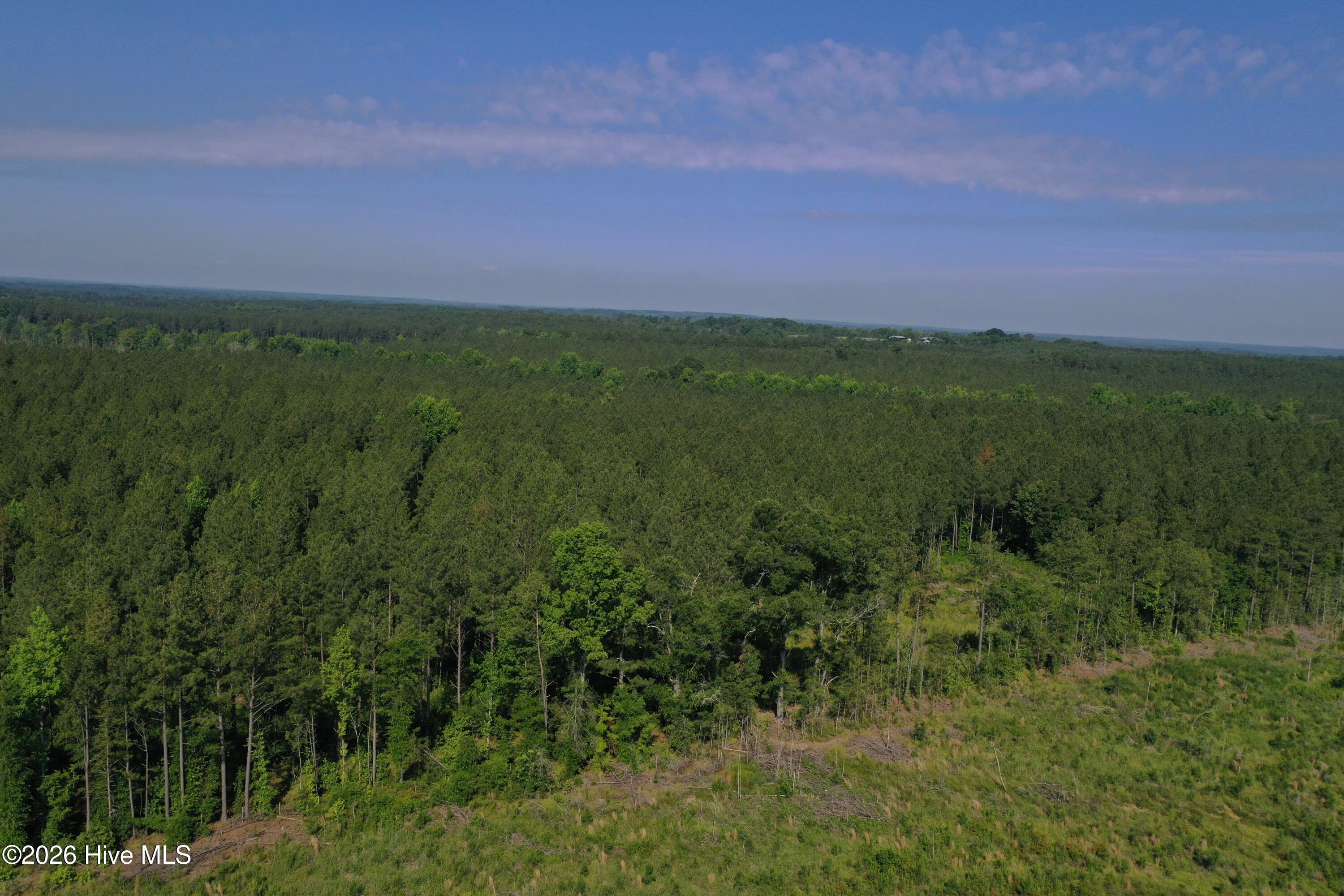 Tbd Everett Chappell Road Property Photo 25