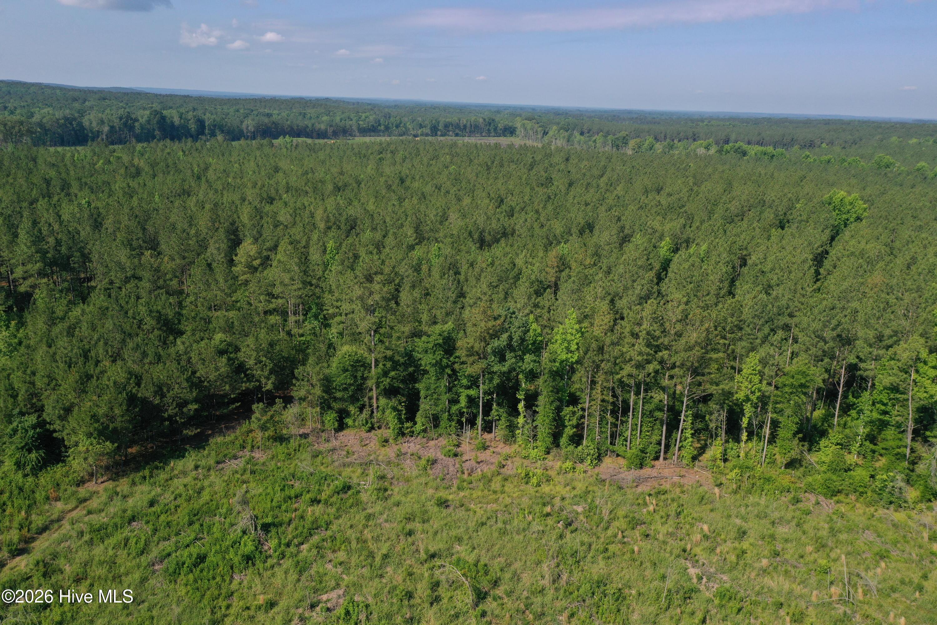 Tbd Everett Chappell Road Property Photo 26