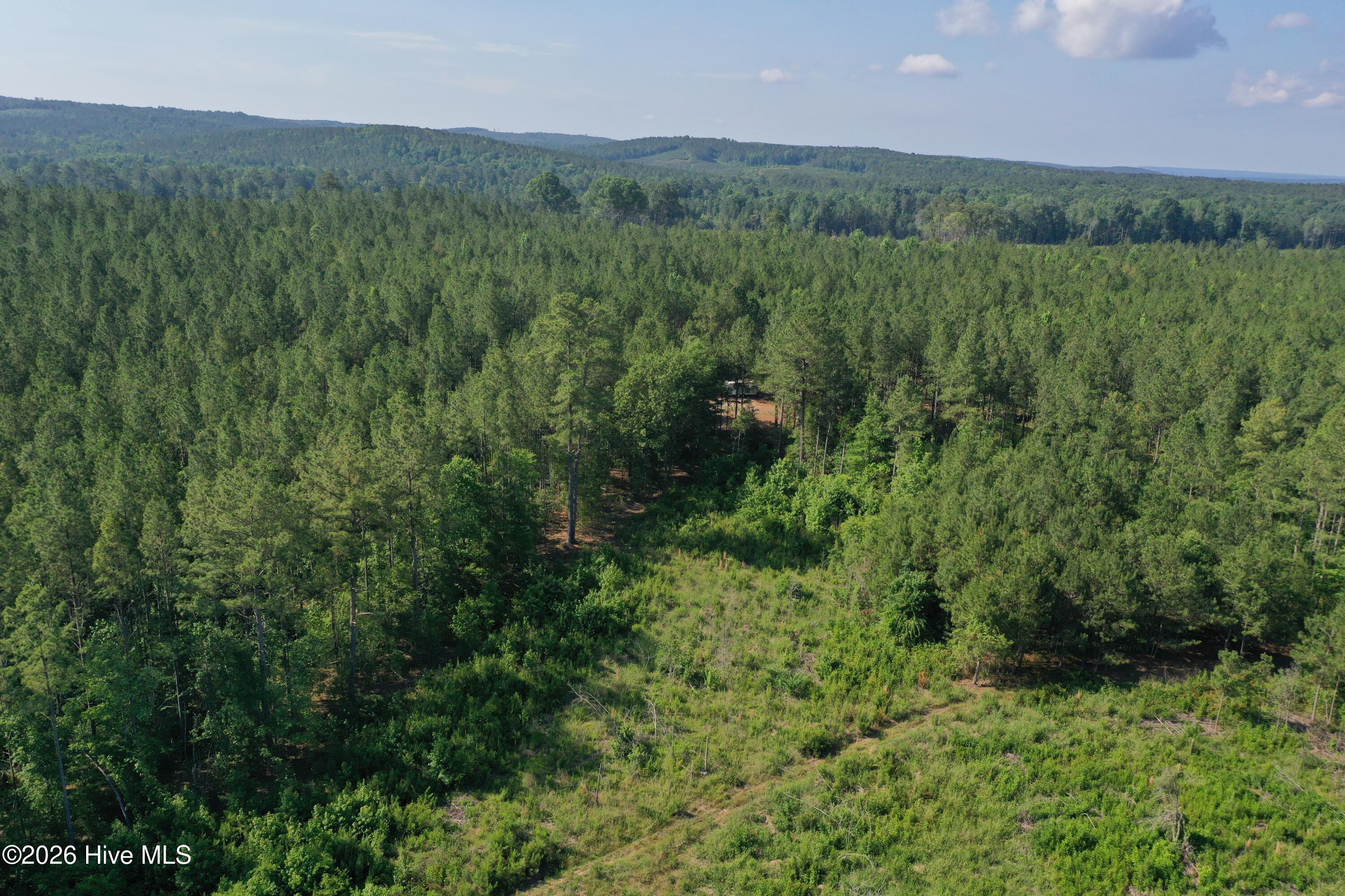 Tbd Everett Chappell Road Property Photo 27