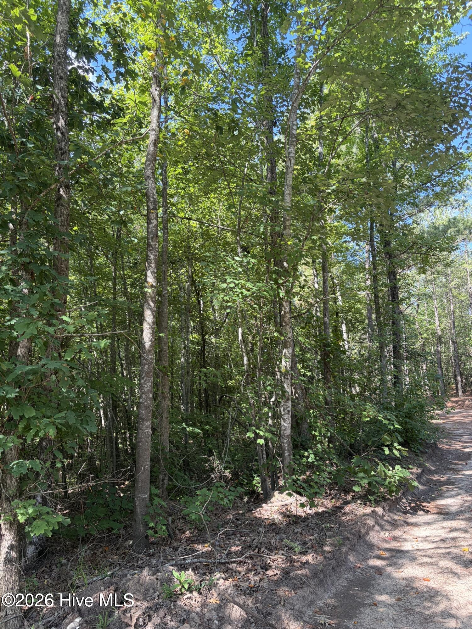 Tbd Green Road Property Photo 5