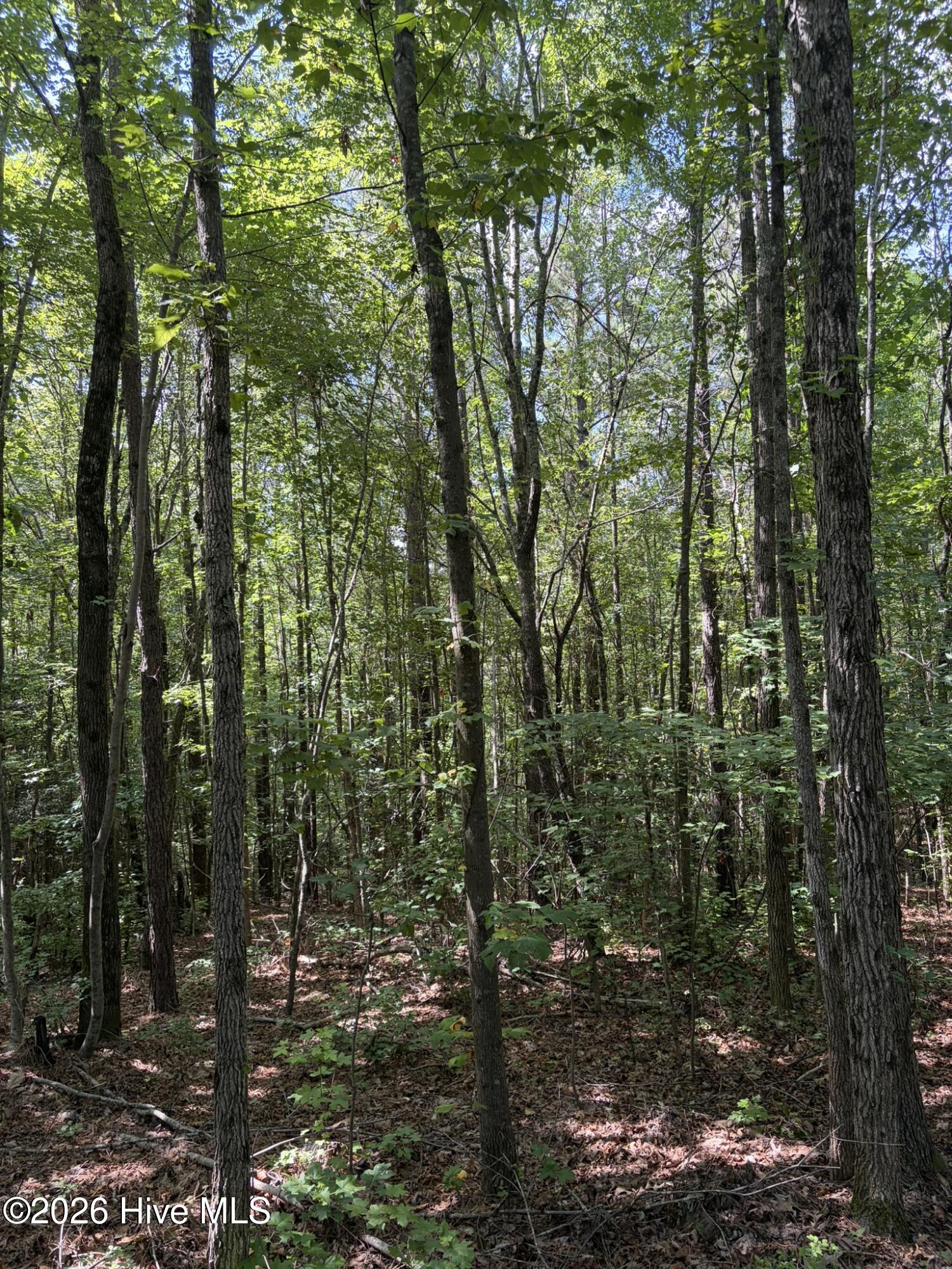 Tbd Green Road Property Photo 6
