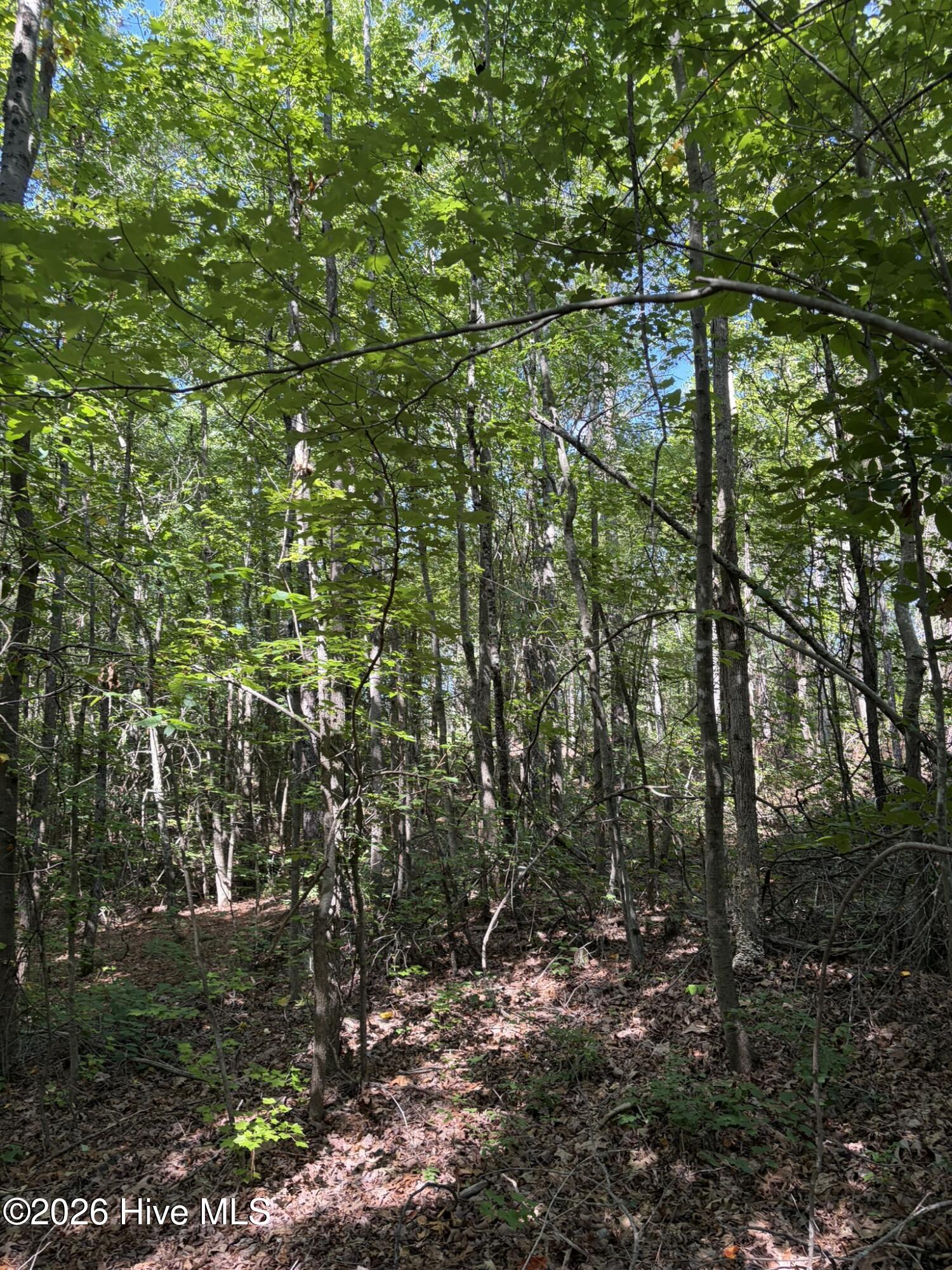 Tbd Green Road Property Photo 7