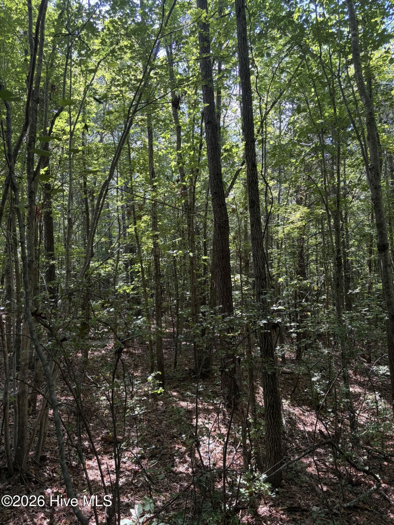 Tbd Green Road Property Photo 8