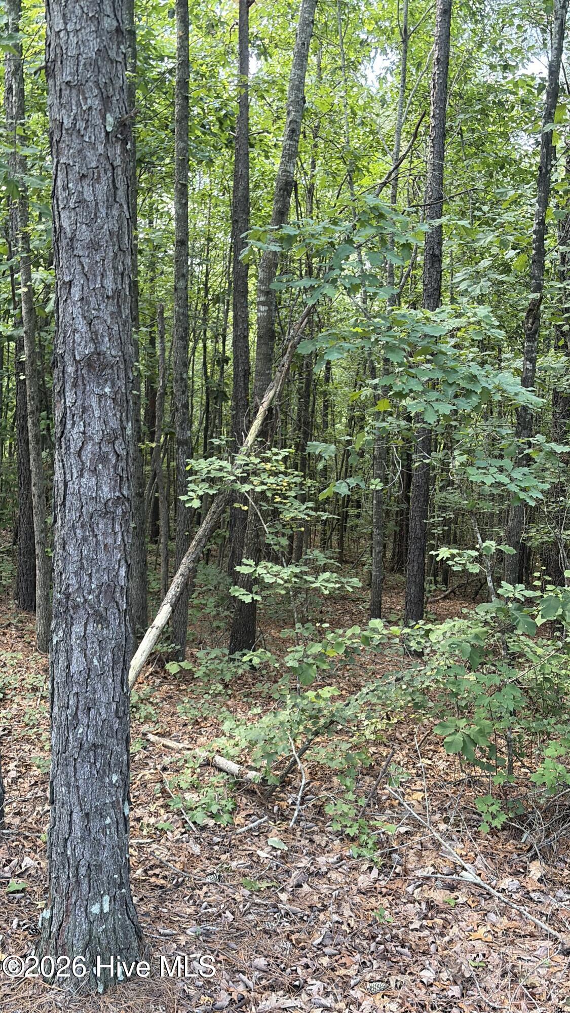 Tbd Green Road Property Photo 9