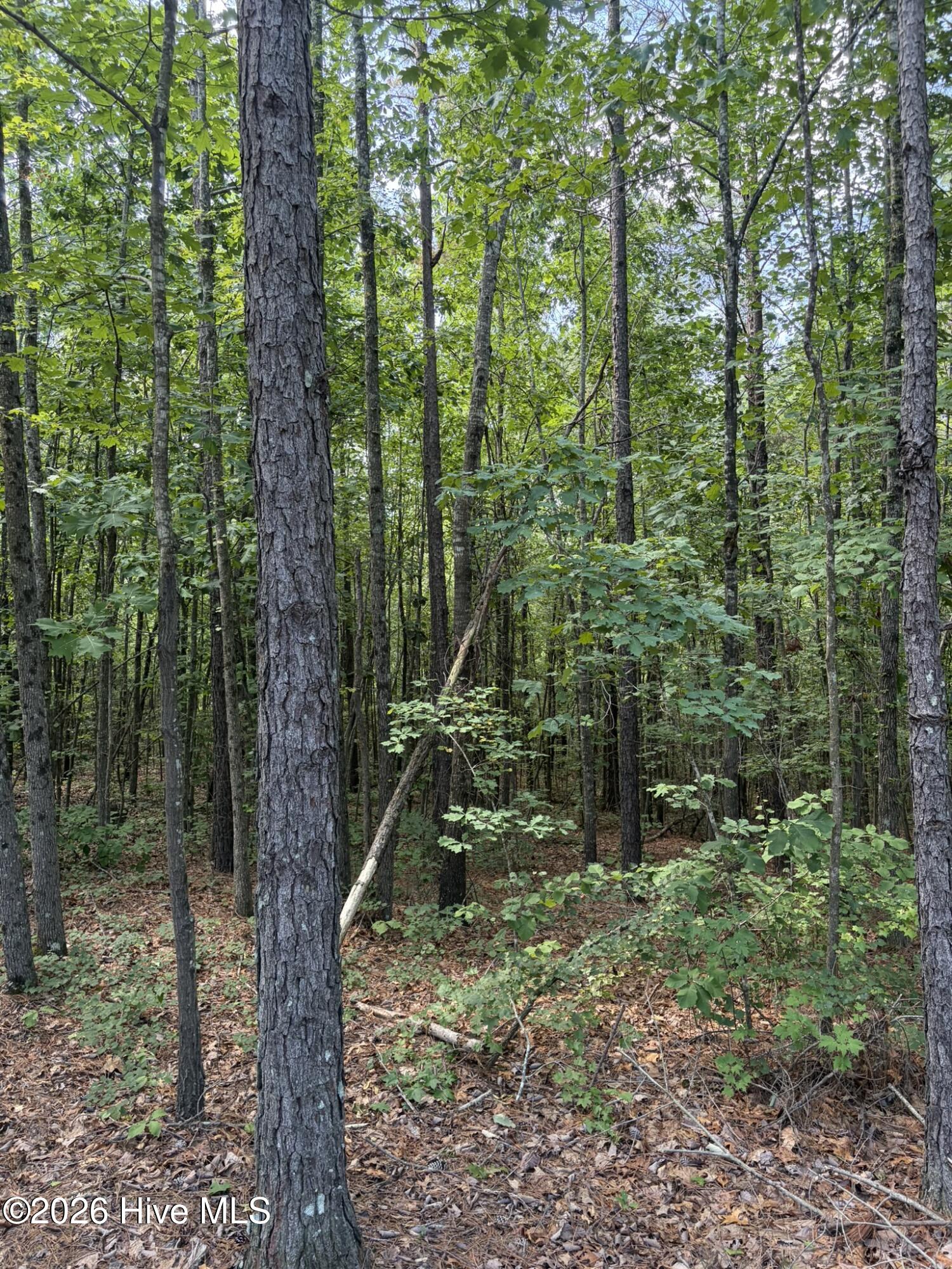 Tbd Green Road Property Photo 10
