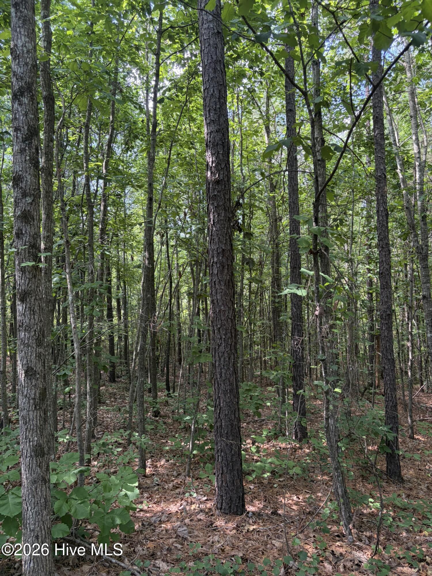 Tbd Green Road Property Photo 11