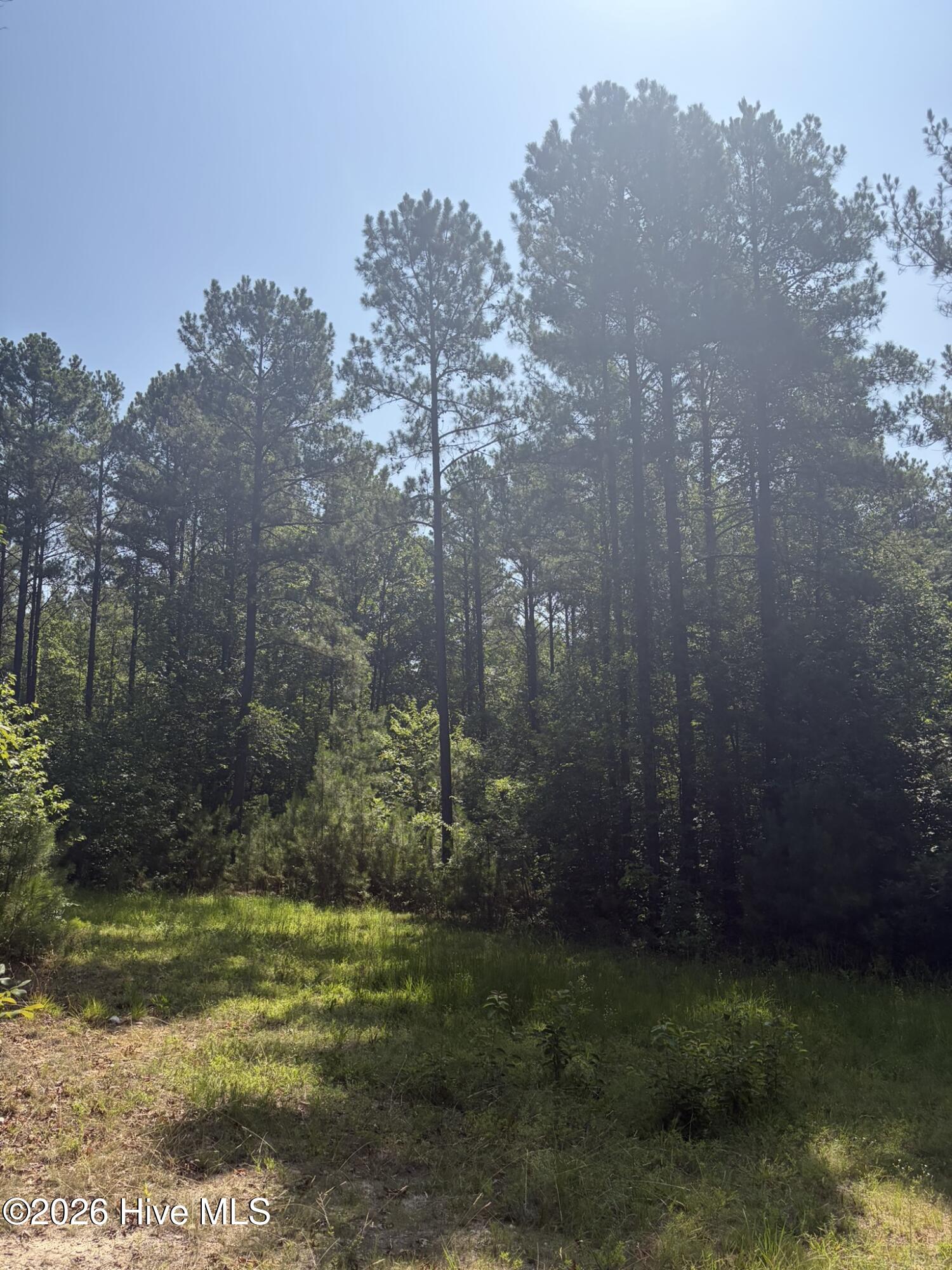 Tbd Green Road Property Photo 16