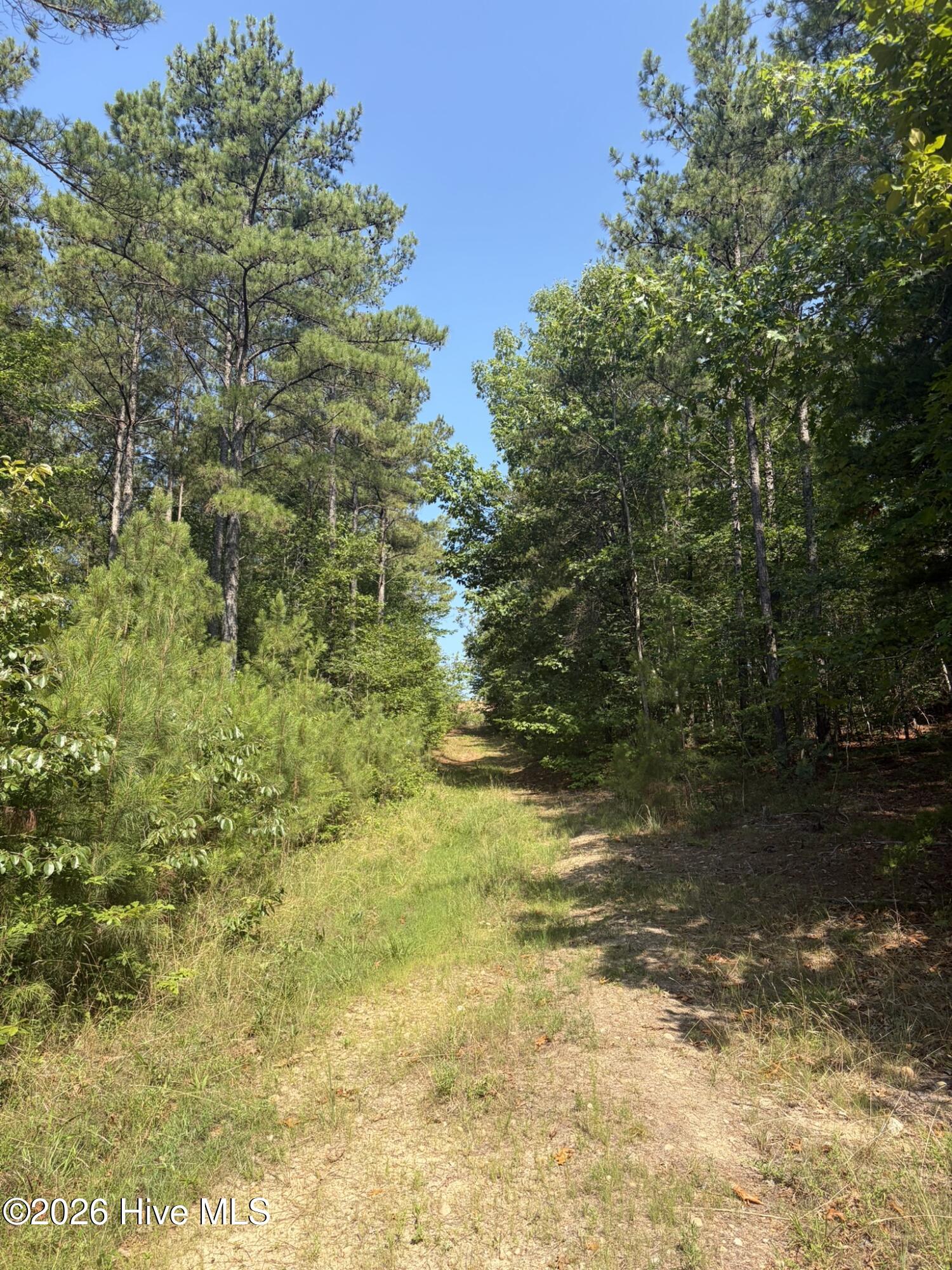 Tbd Green Road Property Photo 17