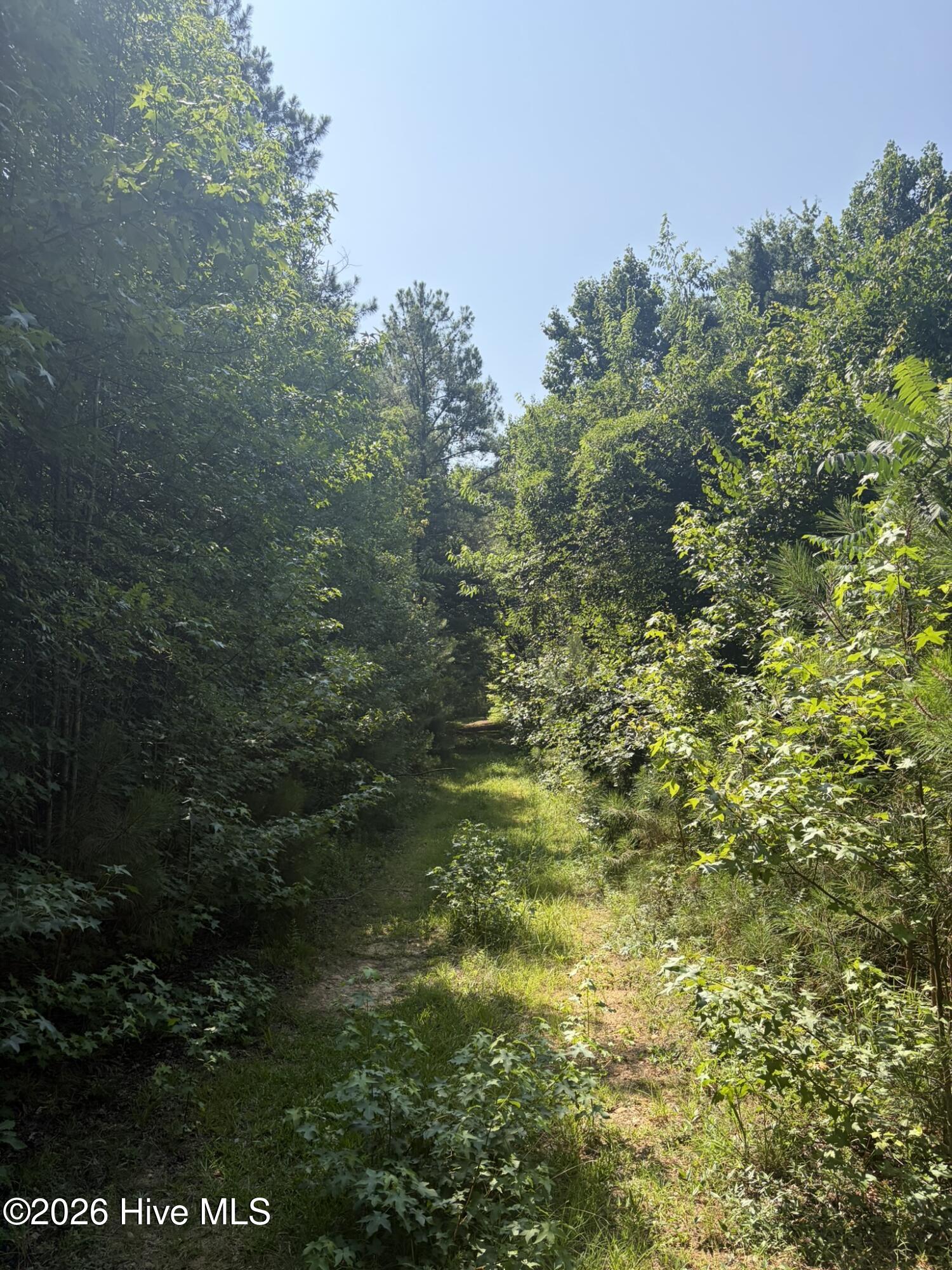 Tbd Green Road Property Photo 18