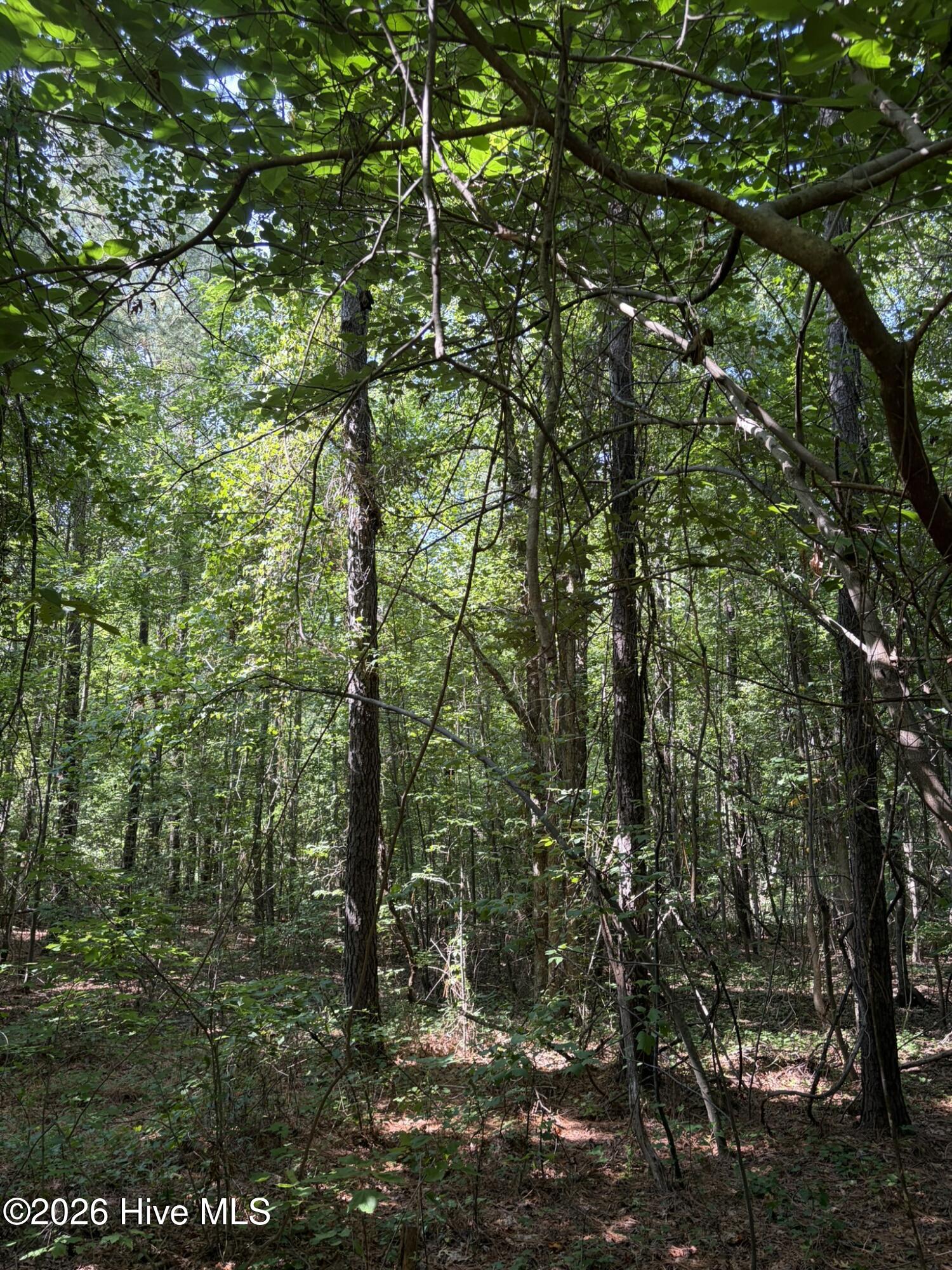 Tbd Green Road Property Photo 19