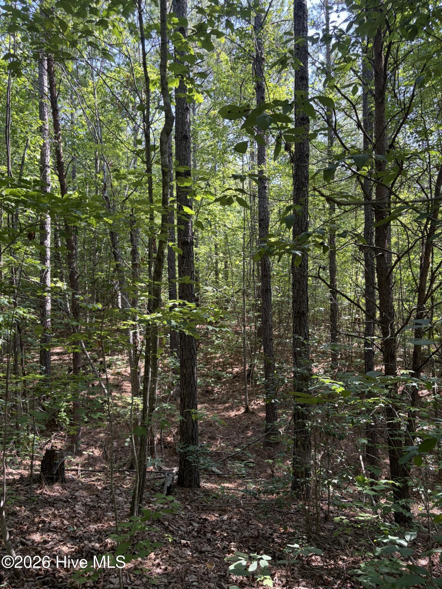 Tbd Green Road Property Photo 20