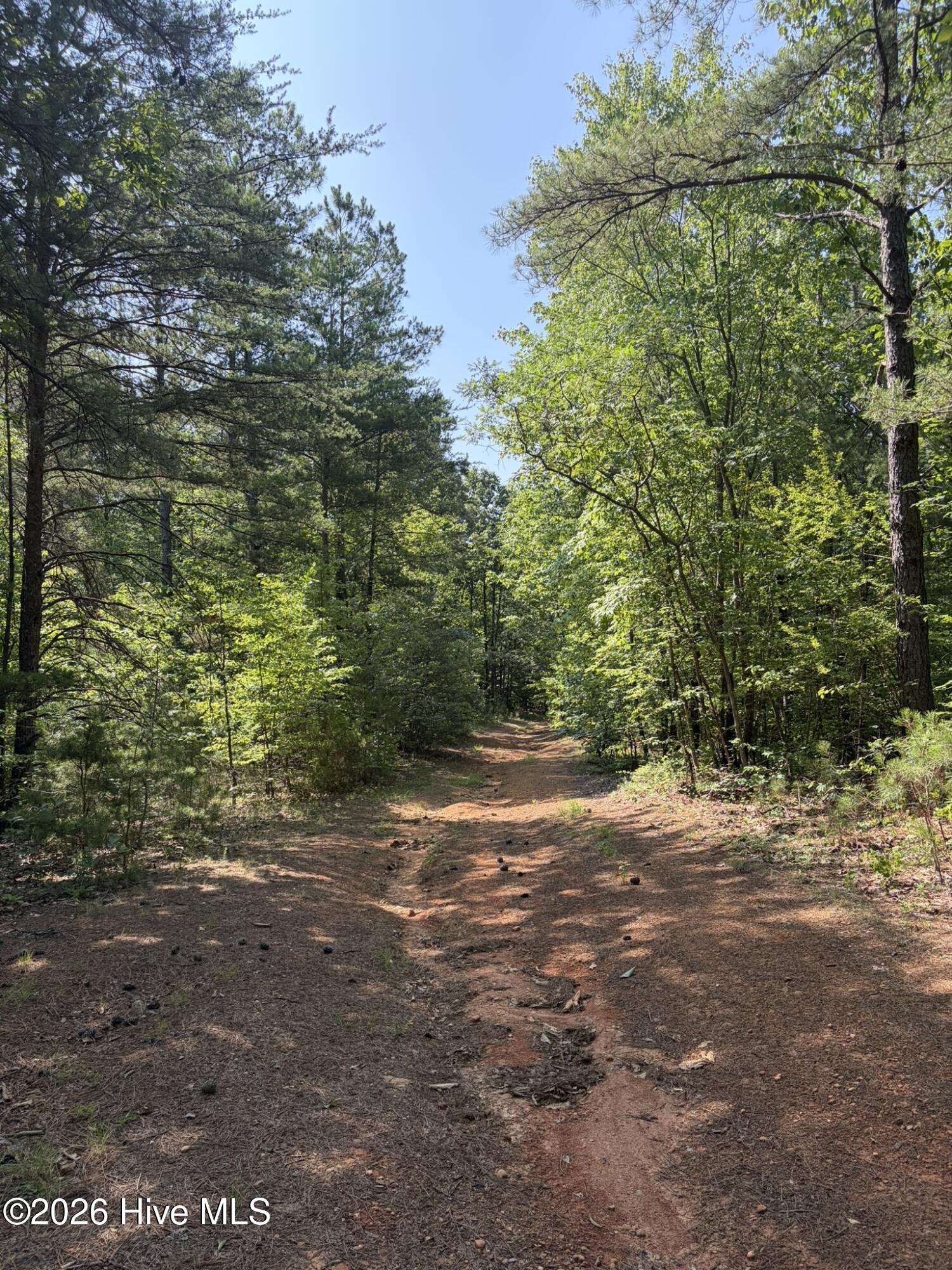 Tbd Green Road Property Photo 21