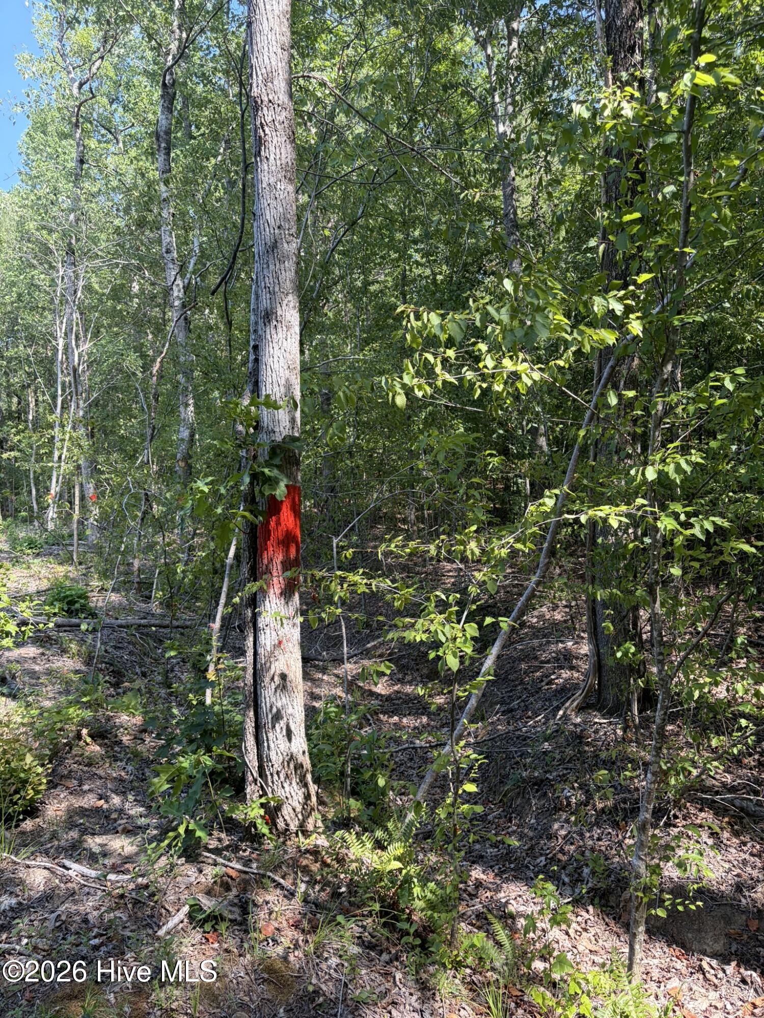 Tbd Green Road Property Photo 22