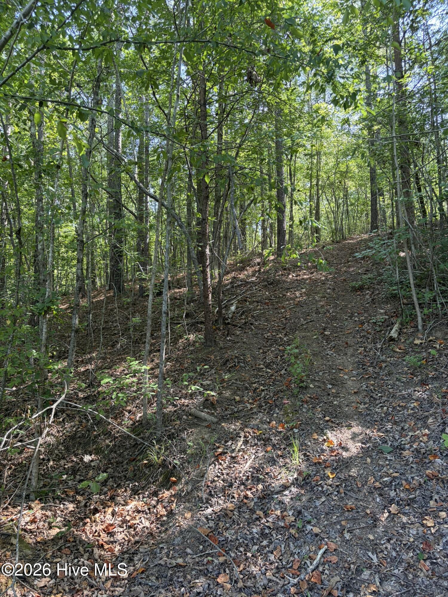 Tbd Green Road Property Photo 23