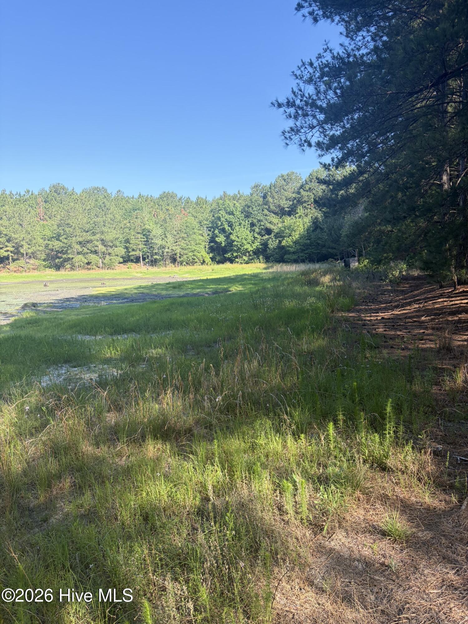 Tbd Jones Spring Church Road Property Photo 1