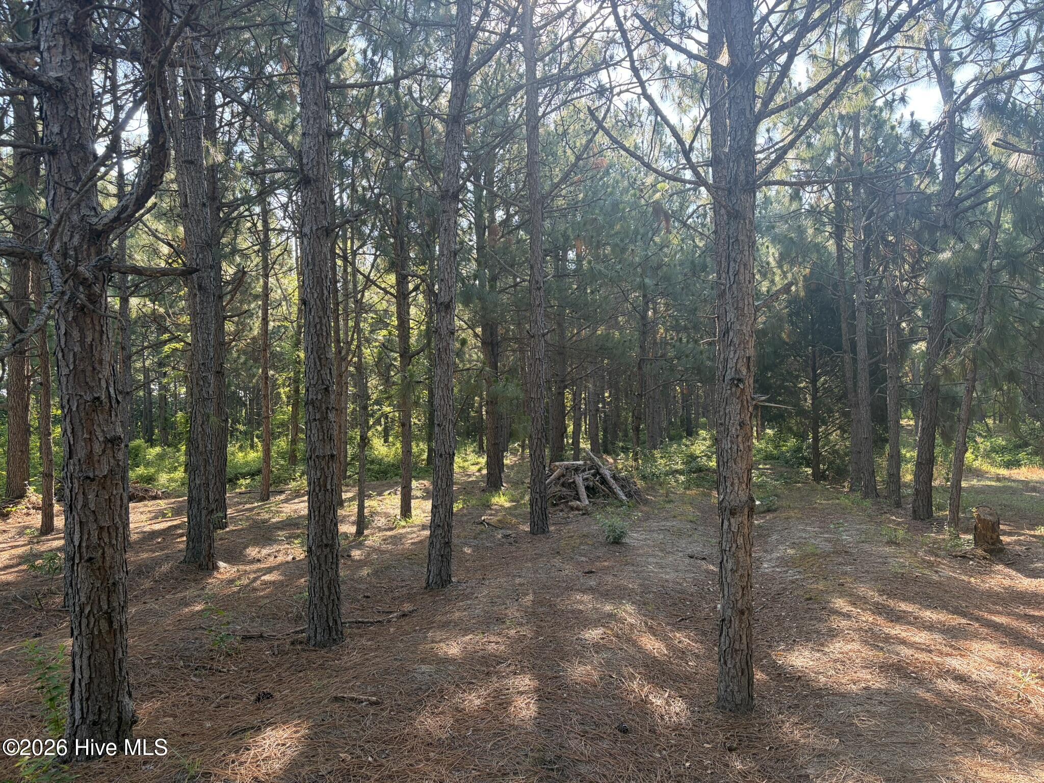 Tbd Jones Spring Church Road Property Photo 6