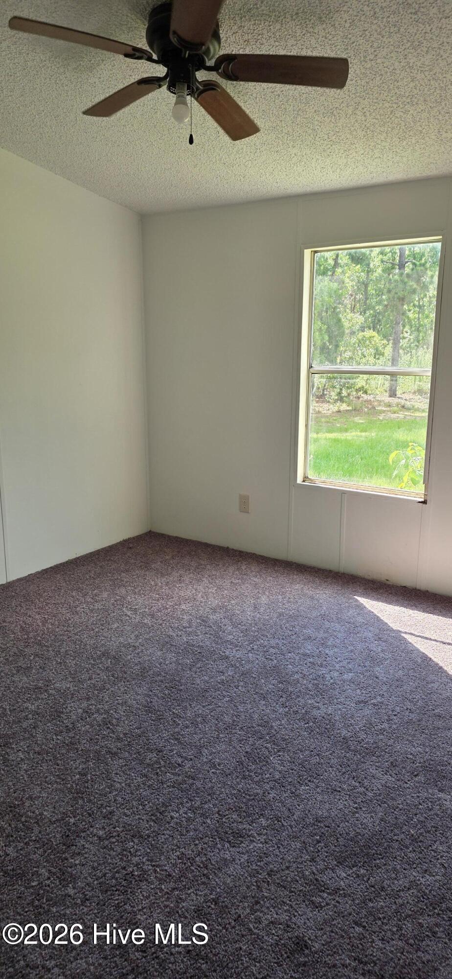 120 Amber Road Property Photo 6