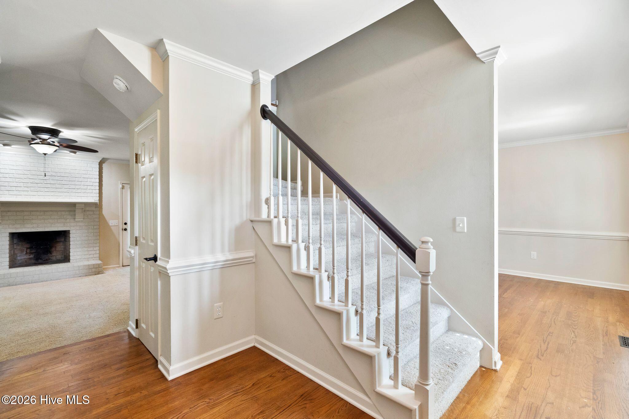 4809 Rushing Drive Property Photo 7