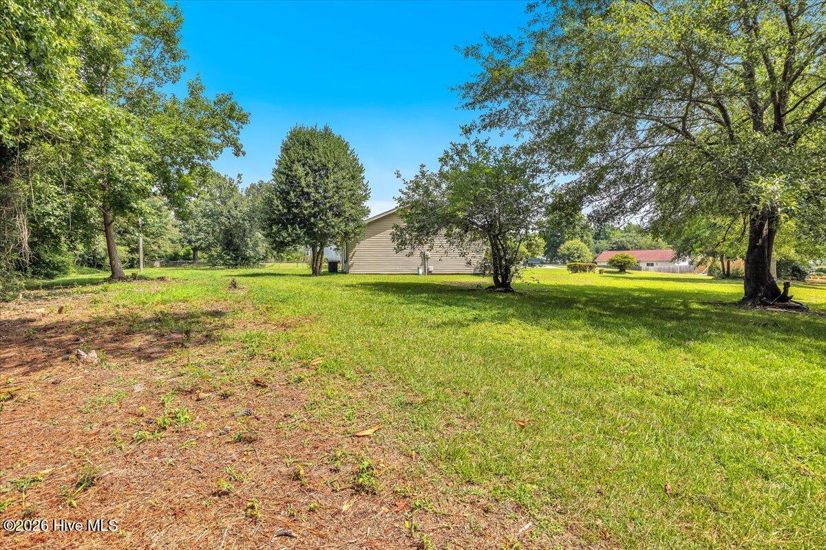 1019 Blue Leaf Place Property Photo 37