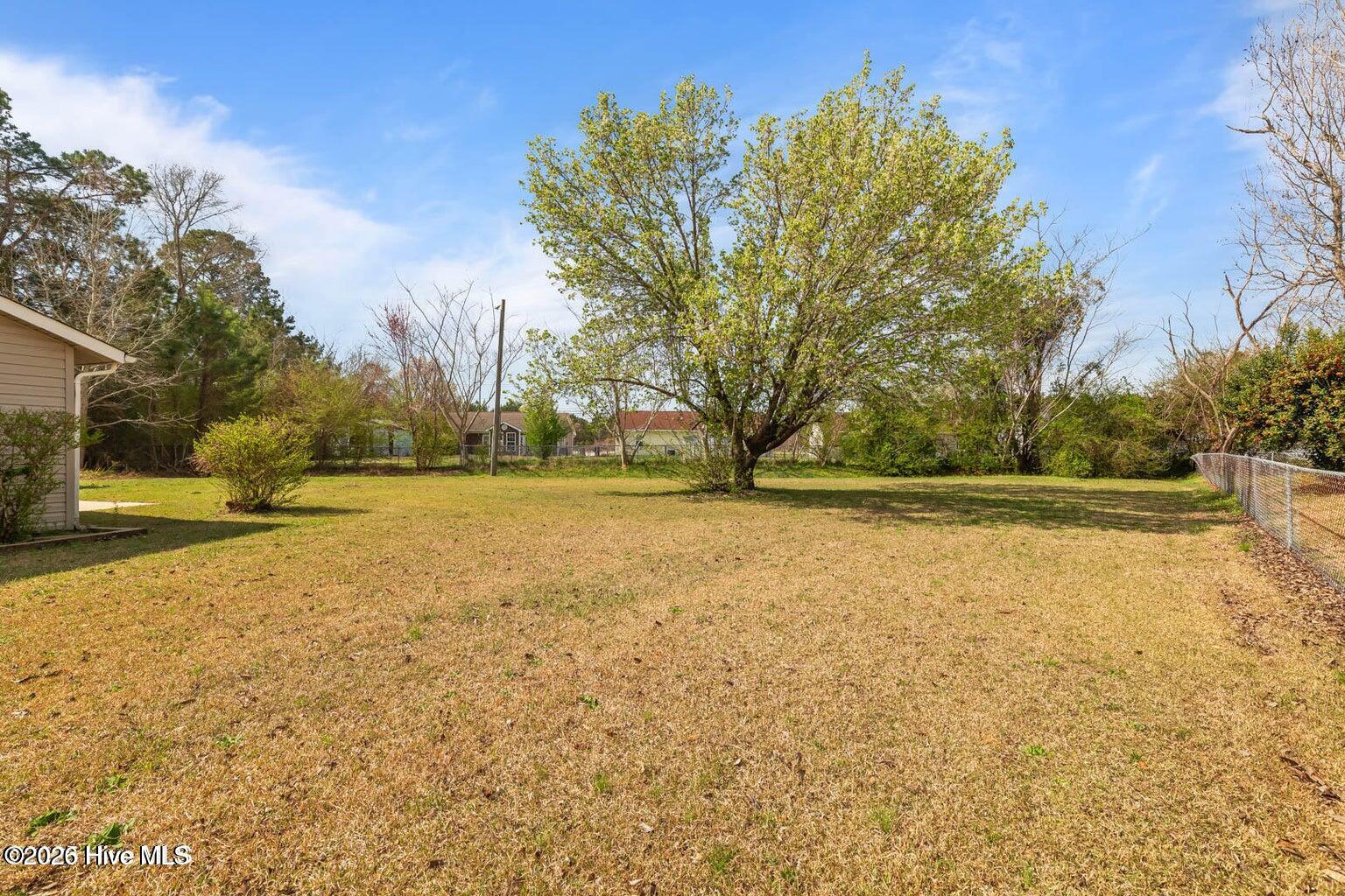 1019 Blue Leaf Place Property Photo 39