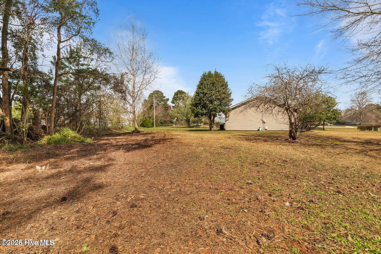 1019 Blue Leaf Place Property Photo 42