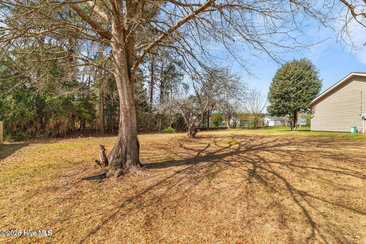 1019 Blue Leaf Place Property Photo 43