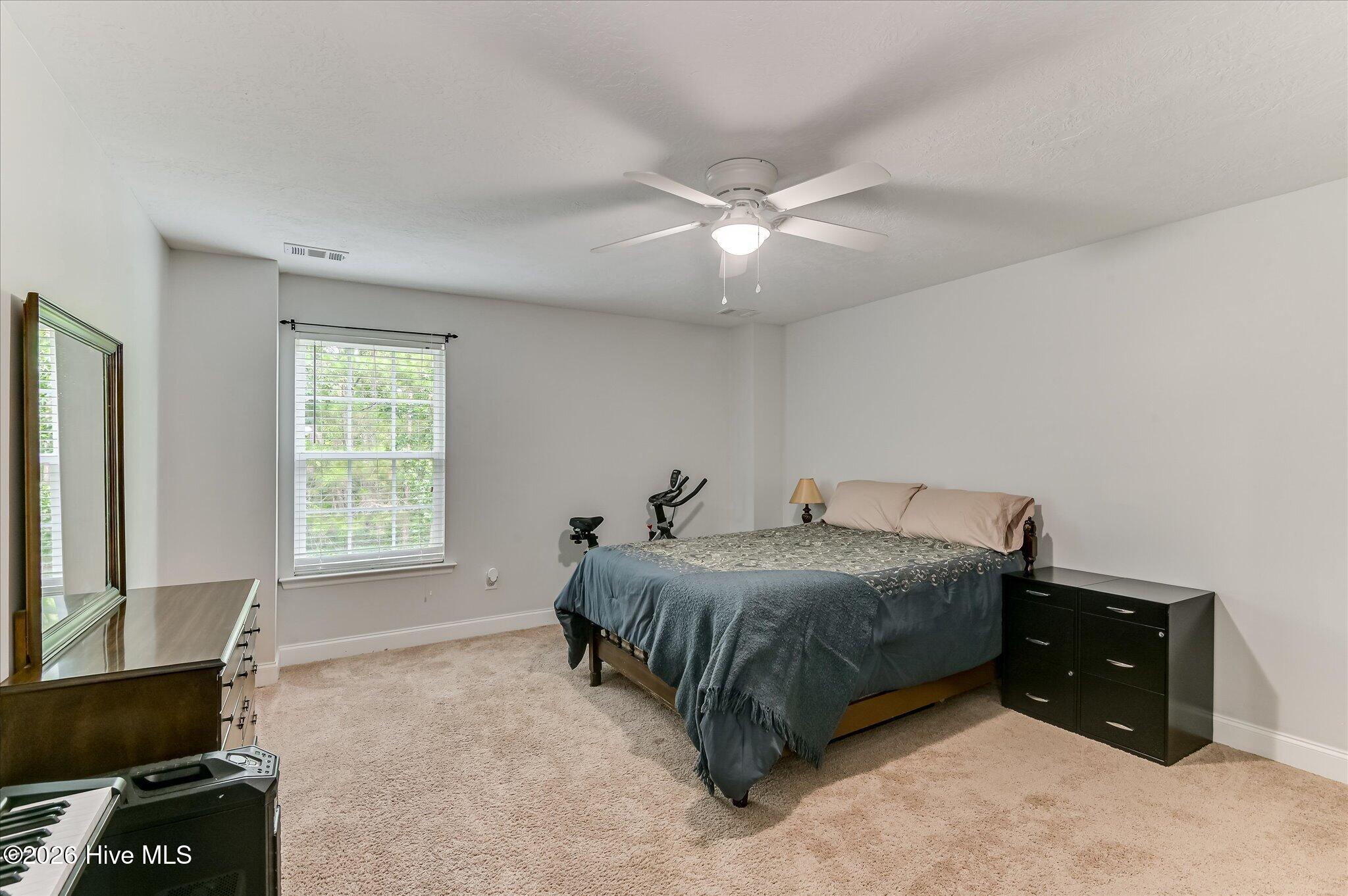 3307 Bingham Court Property Photo 32