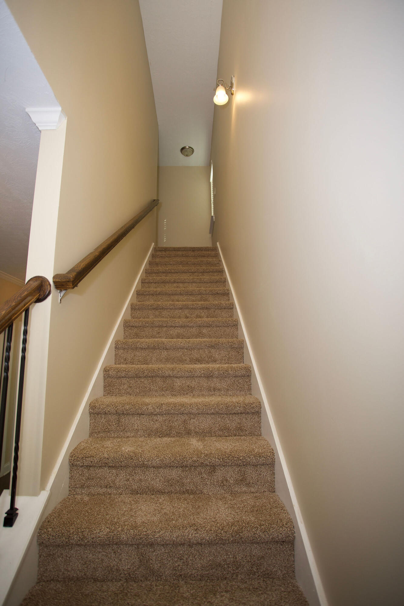 484 Brantley Cove Circle Property Photo 22