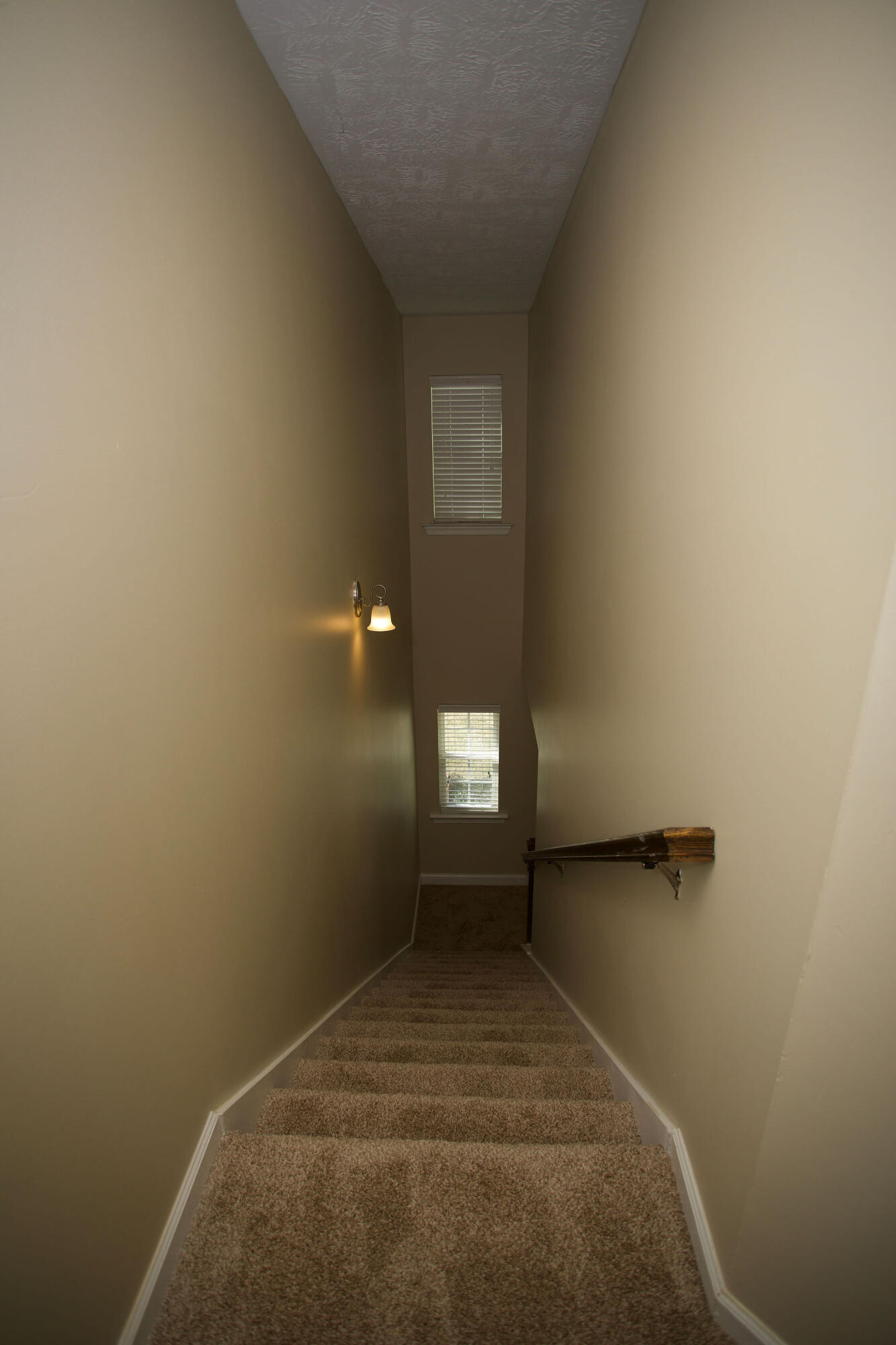484 Brantley Cove Circle Property Photo 43