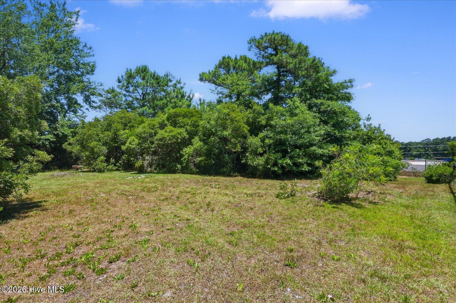 216 Oak Grove Drive Property Photo 5