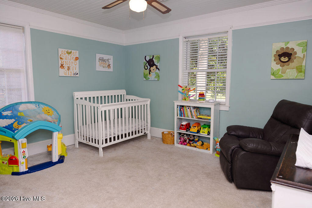 328 Camellia Drive Property Photo 27