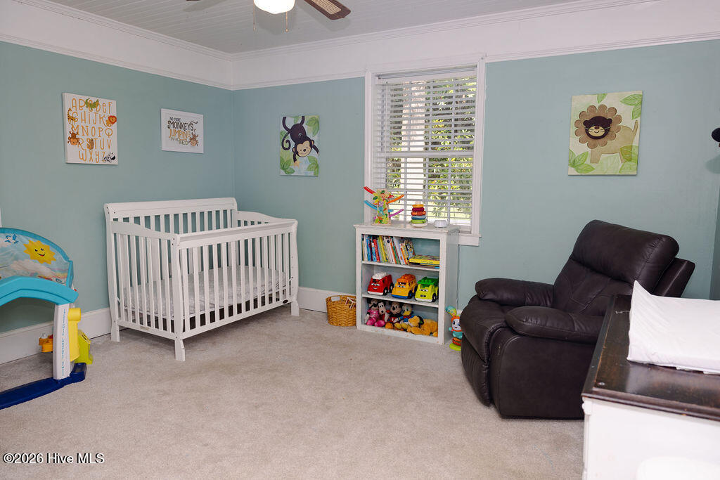 328 Camellia Drive Property Photo 29