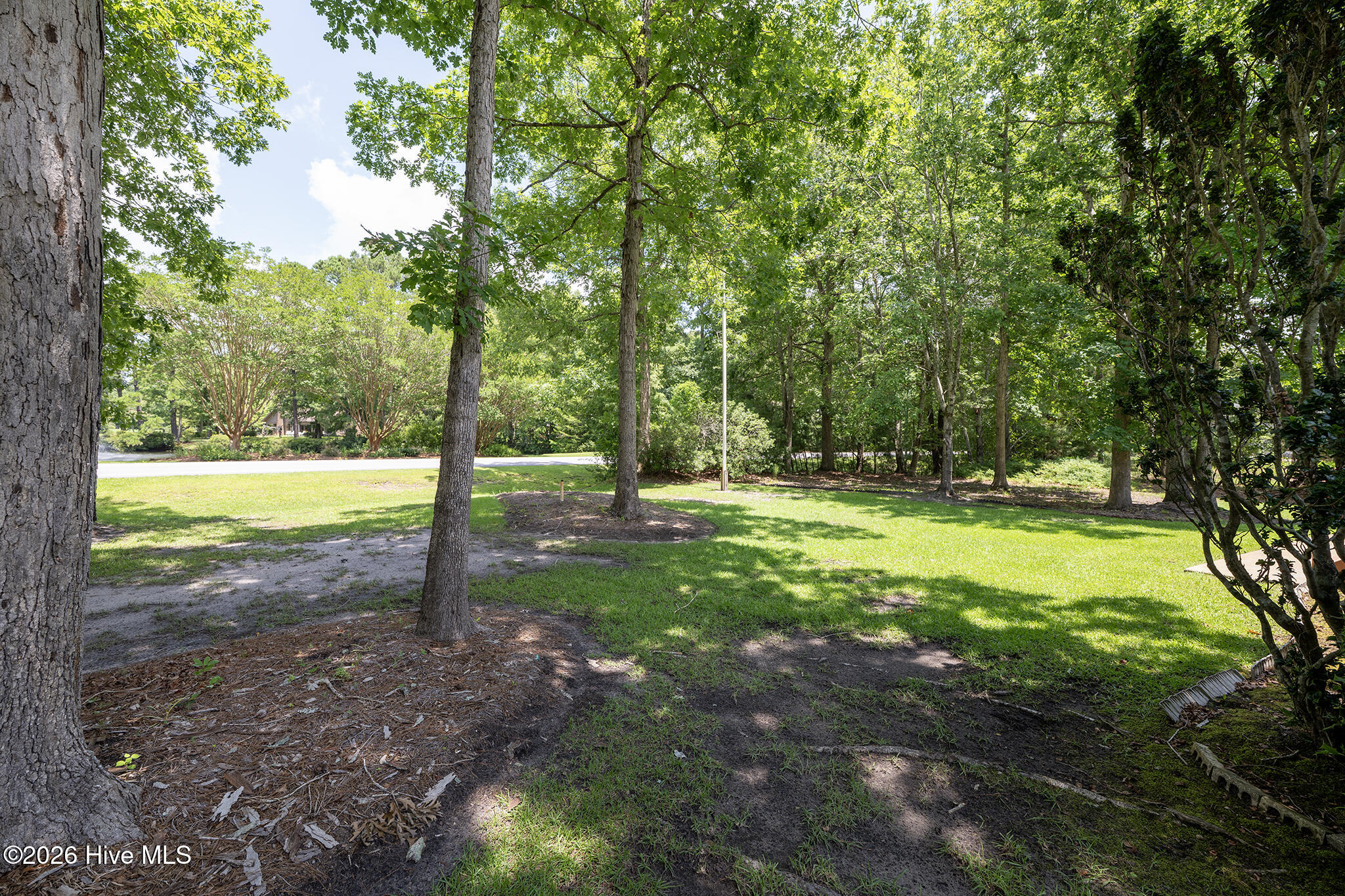 809 Thyme Court Property Photo 74