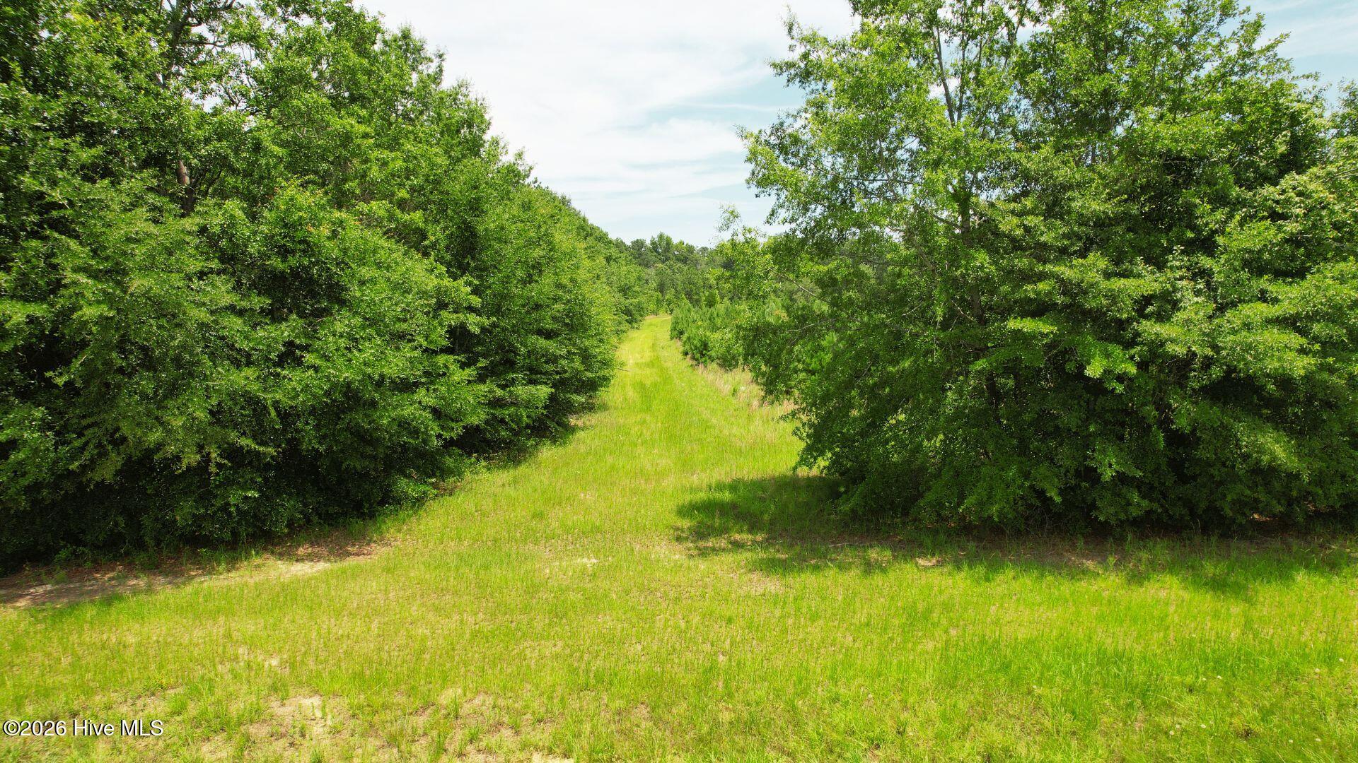 1110 Ga-88 Property Photo 21