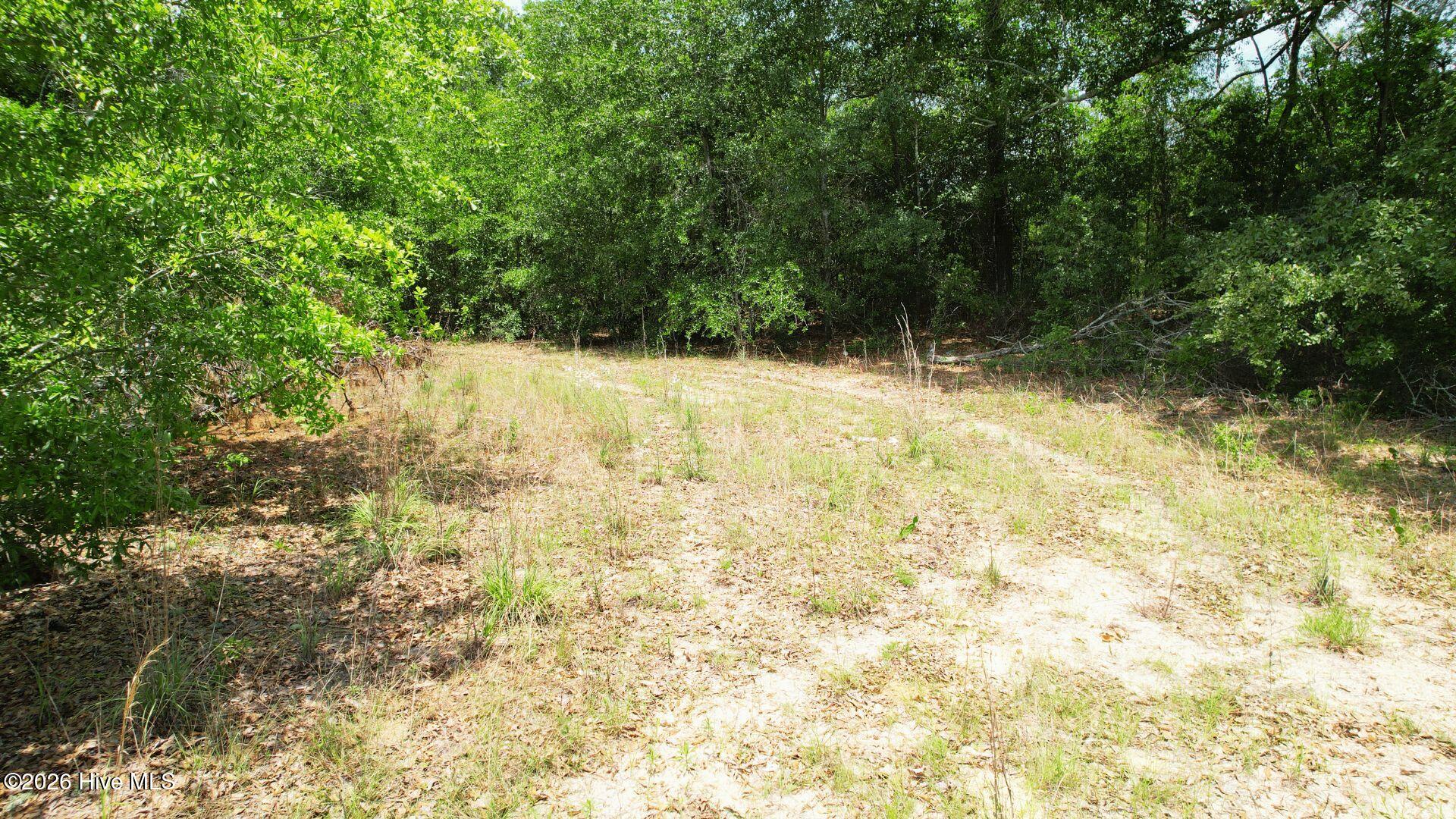 1110 Ga-88 Property Photo 22